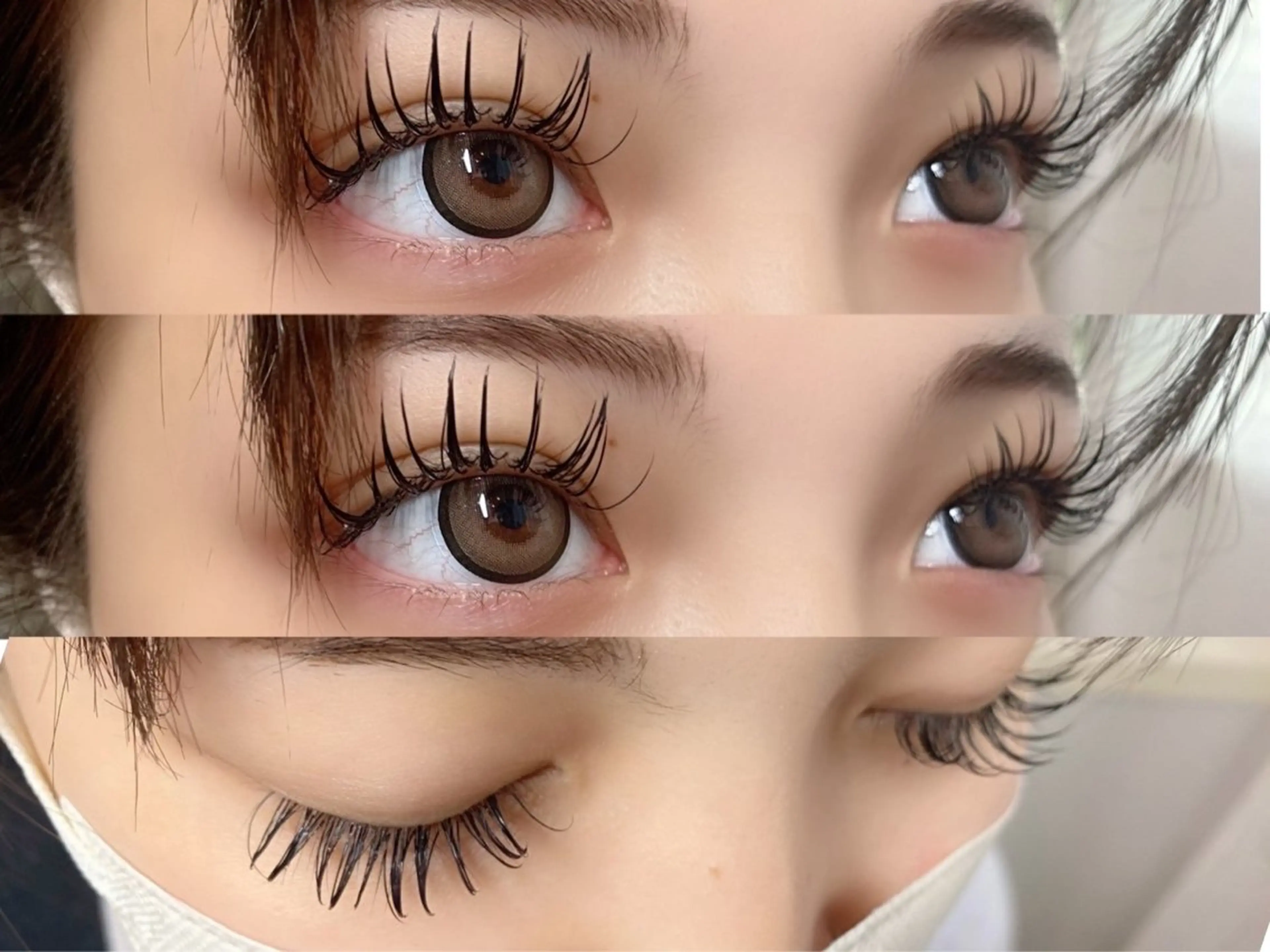 フラットラッシュ100本の写真