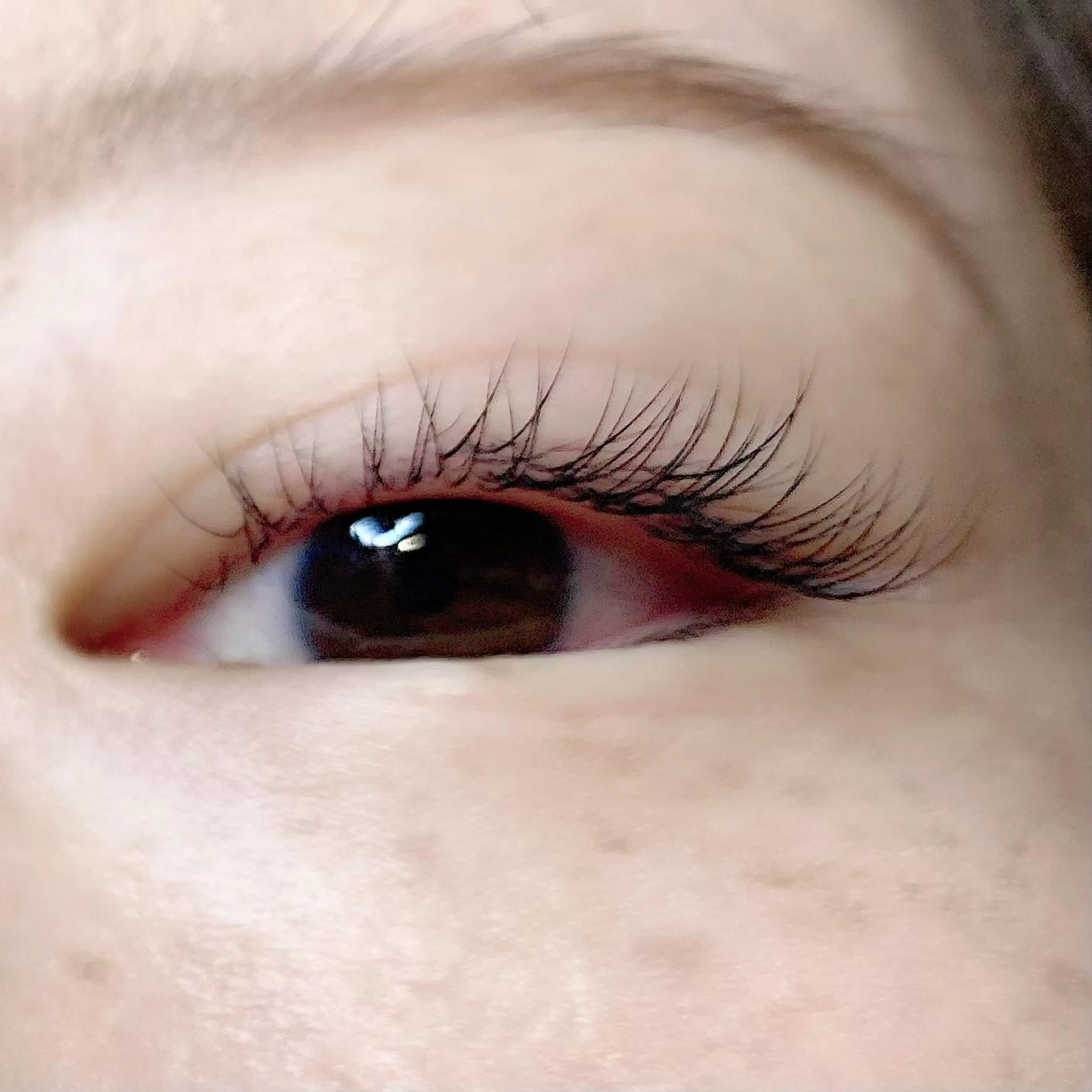 マツエク・マツパ Cカール ナチュラル マツエク ナオエ ハルカのマツエク・マツパデザイン