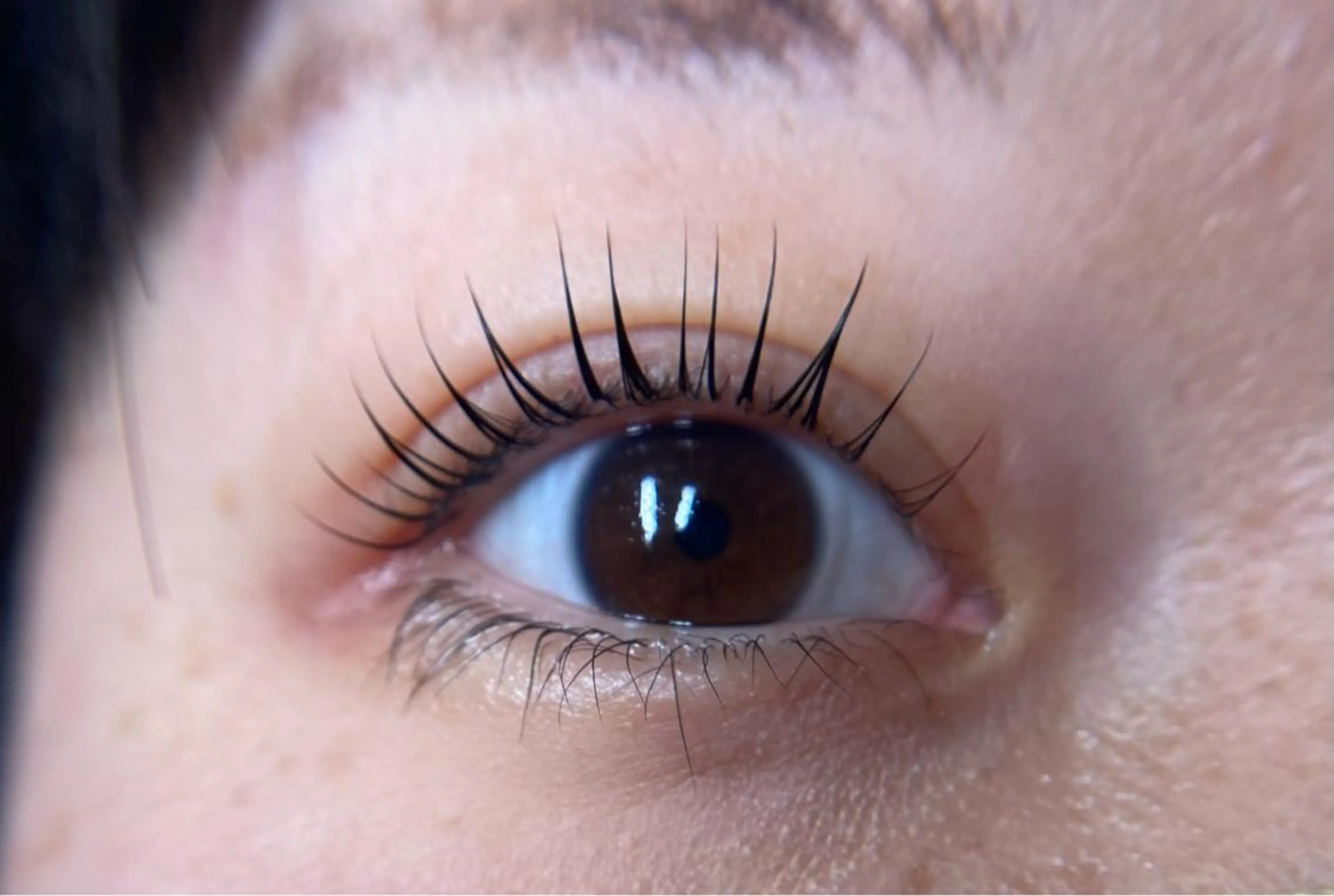 まつ毛パーマ💫orパリジェンヌの写真