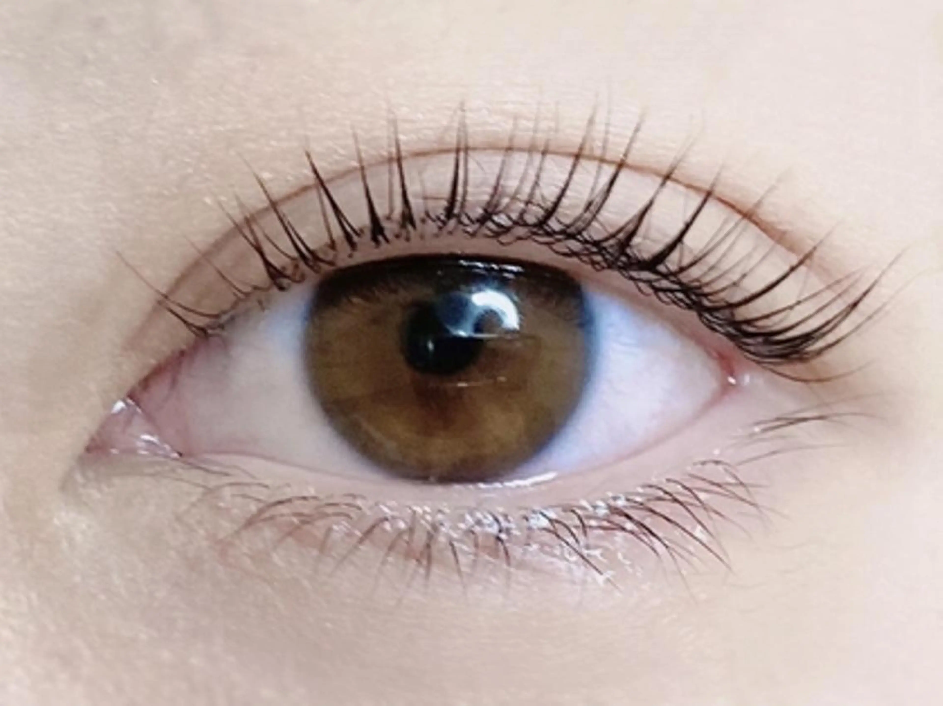 マツエク・マツパ classy 三田すずかけ台店のマツエク・マツパデザイン