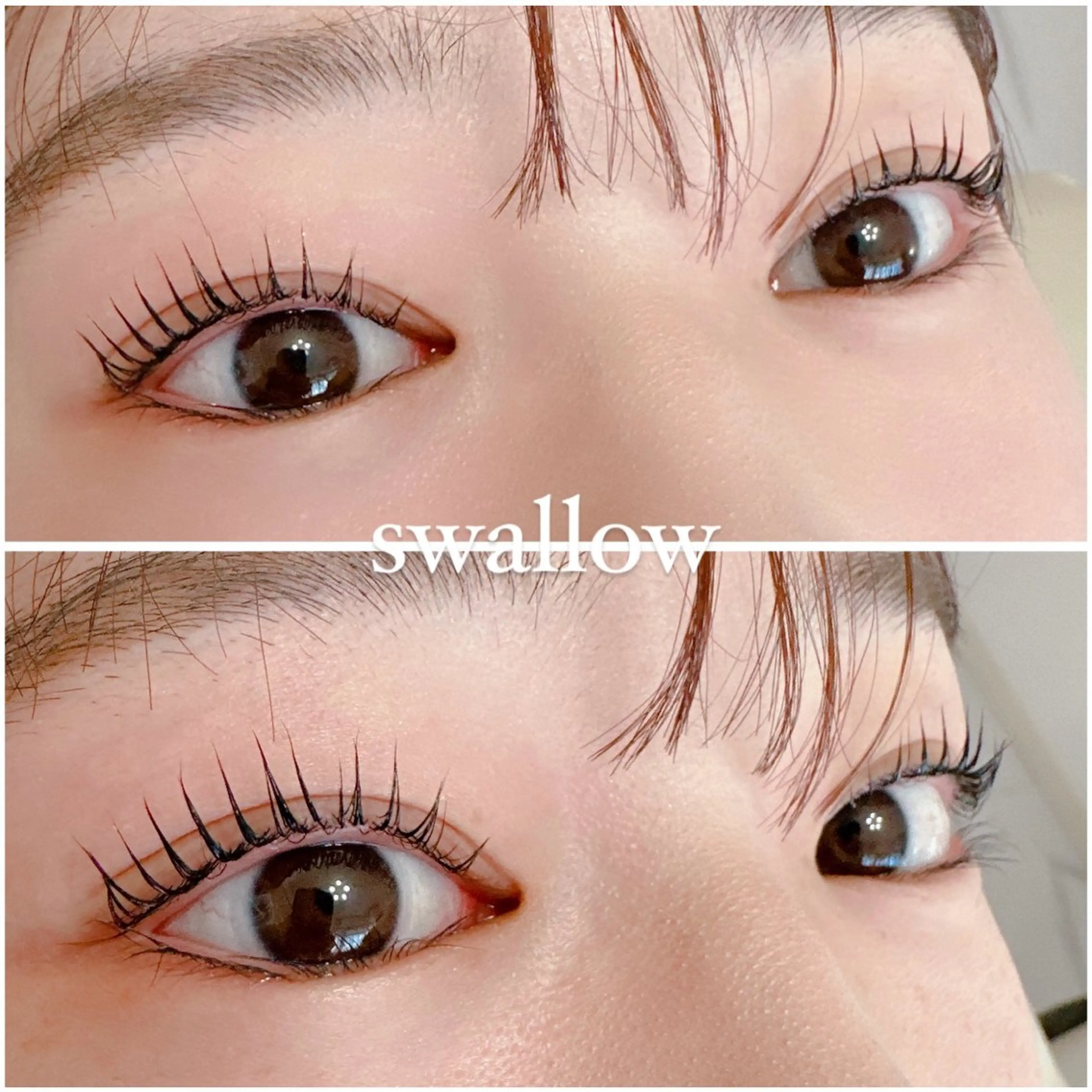 マツエク・マツパ swallow 奈良西大寺店のマツエク・マツパデザイン