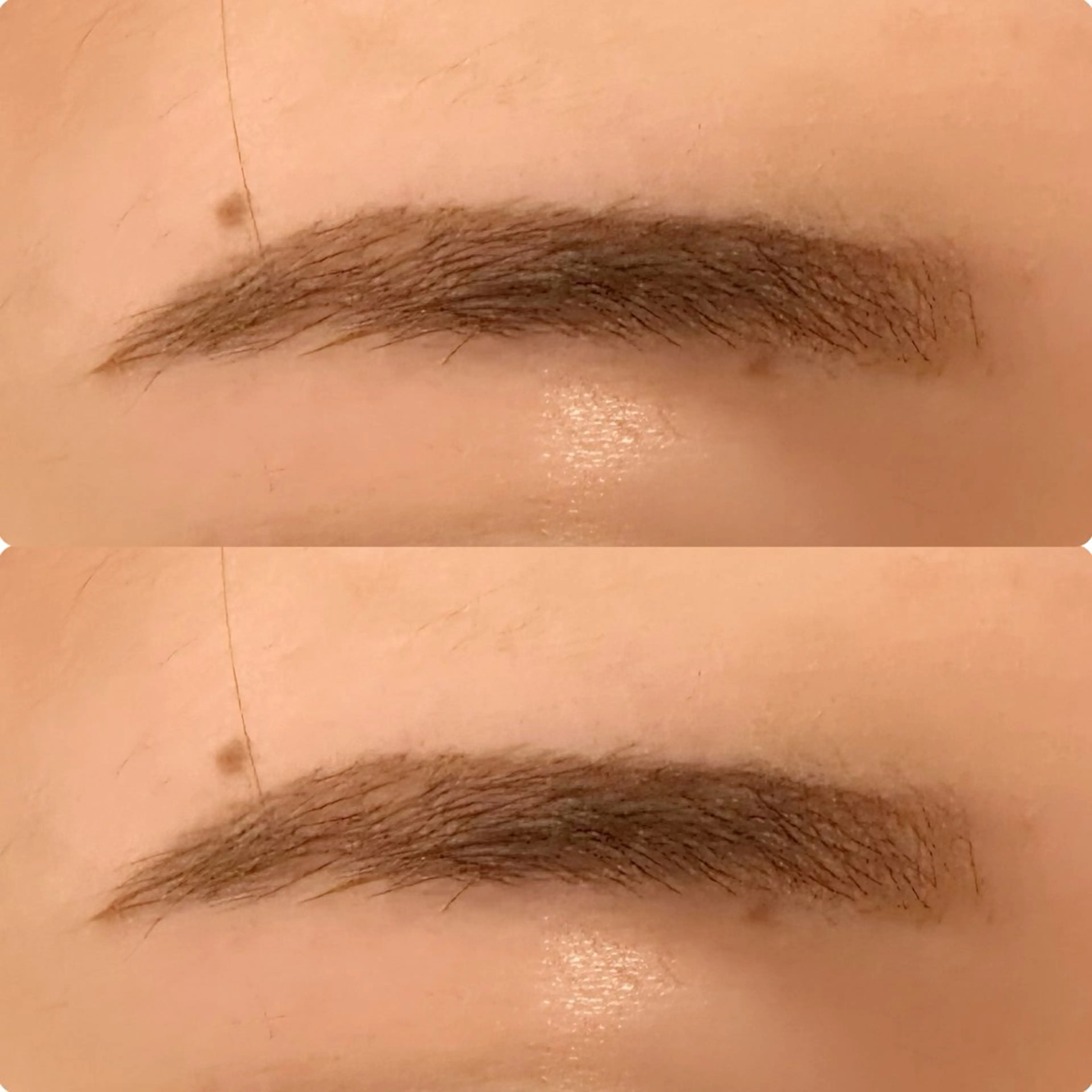 アイブロウ nicott 篠田のマツエク・マツパデザイン