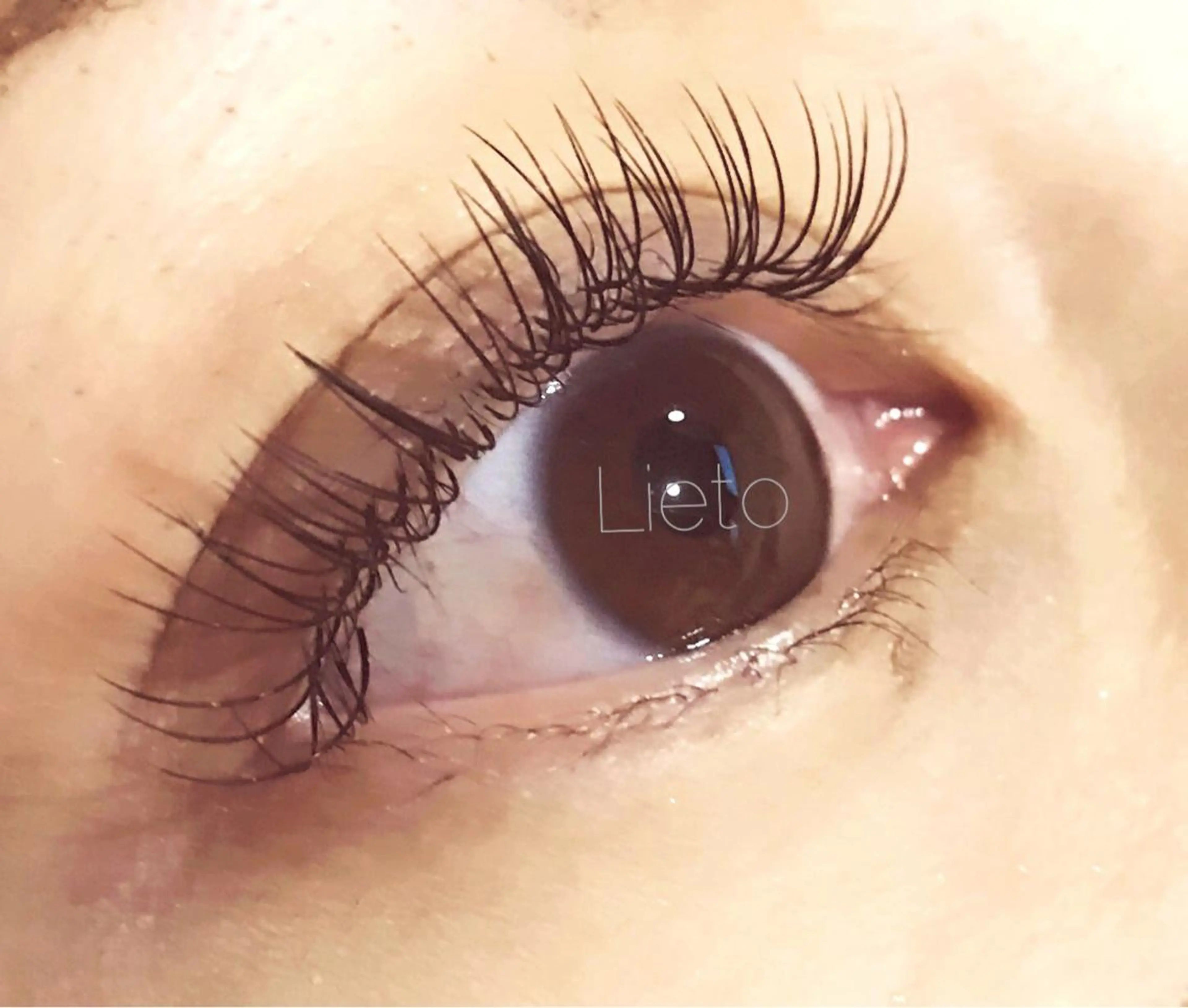 高級セーブル130本までコース(オフ込み)の写真