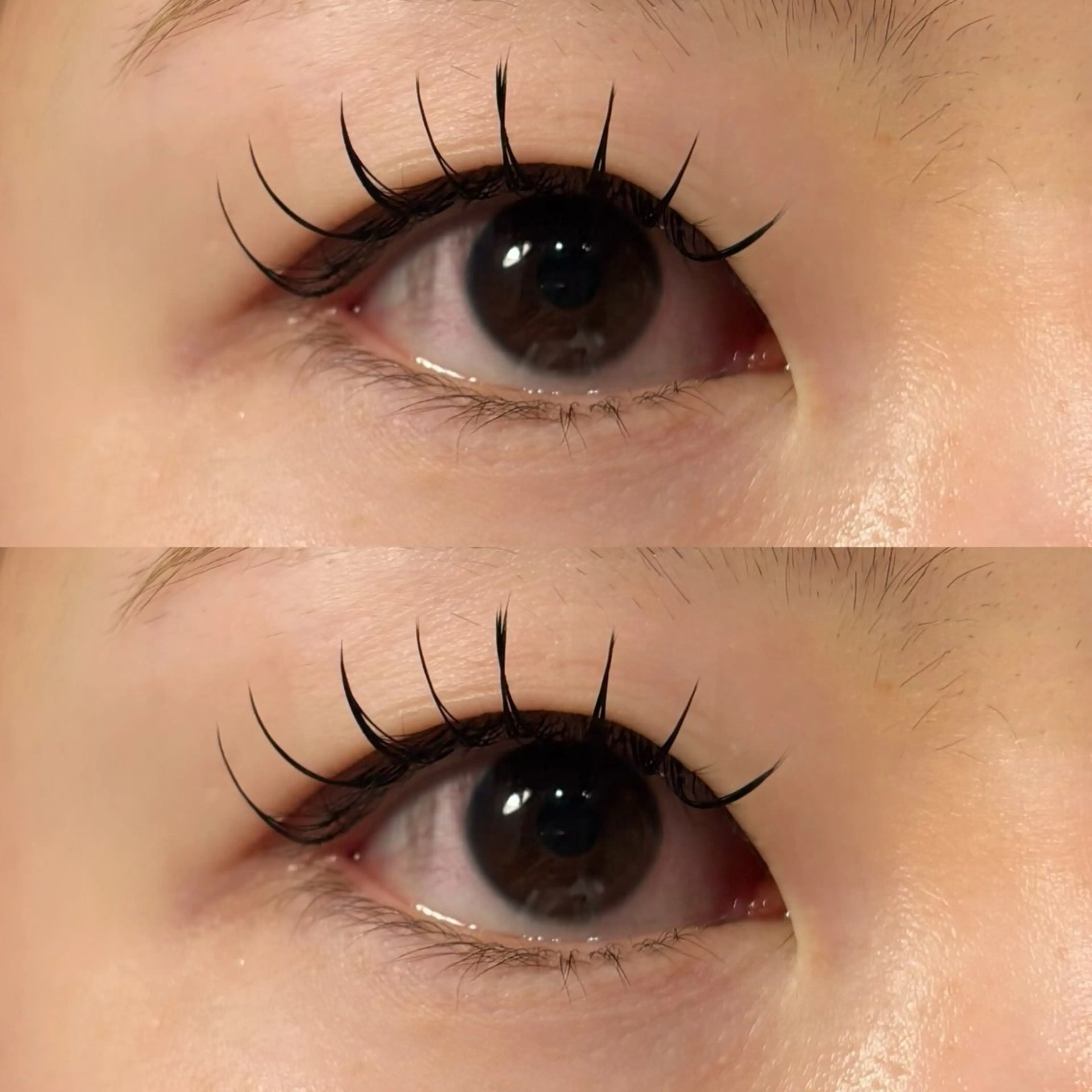 マツエク・マツパ フラットラッシュ 🍇chinatsu 🍇en Rêveのマツエク・マツパデザイン