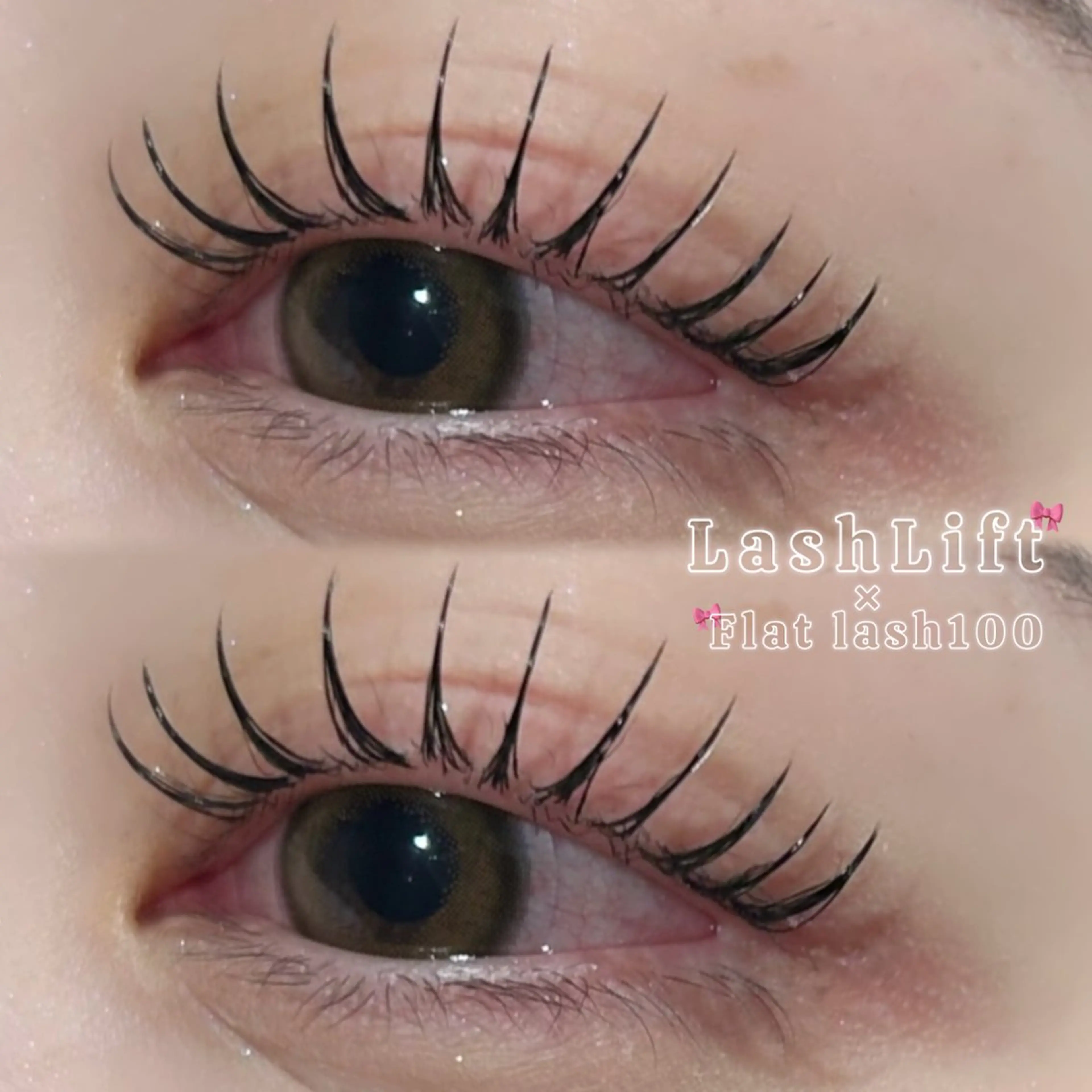 パリエク♡flat lash100🎀の写真