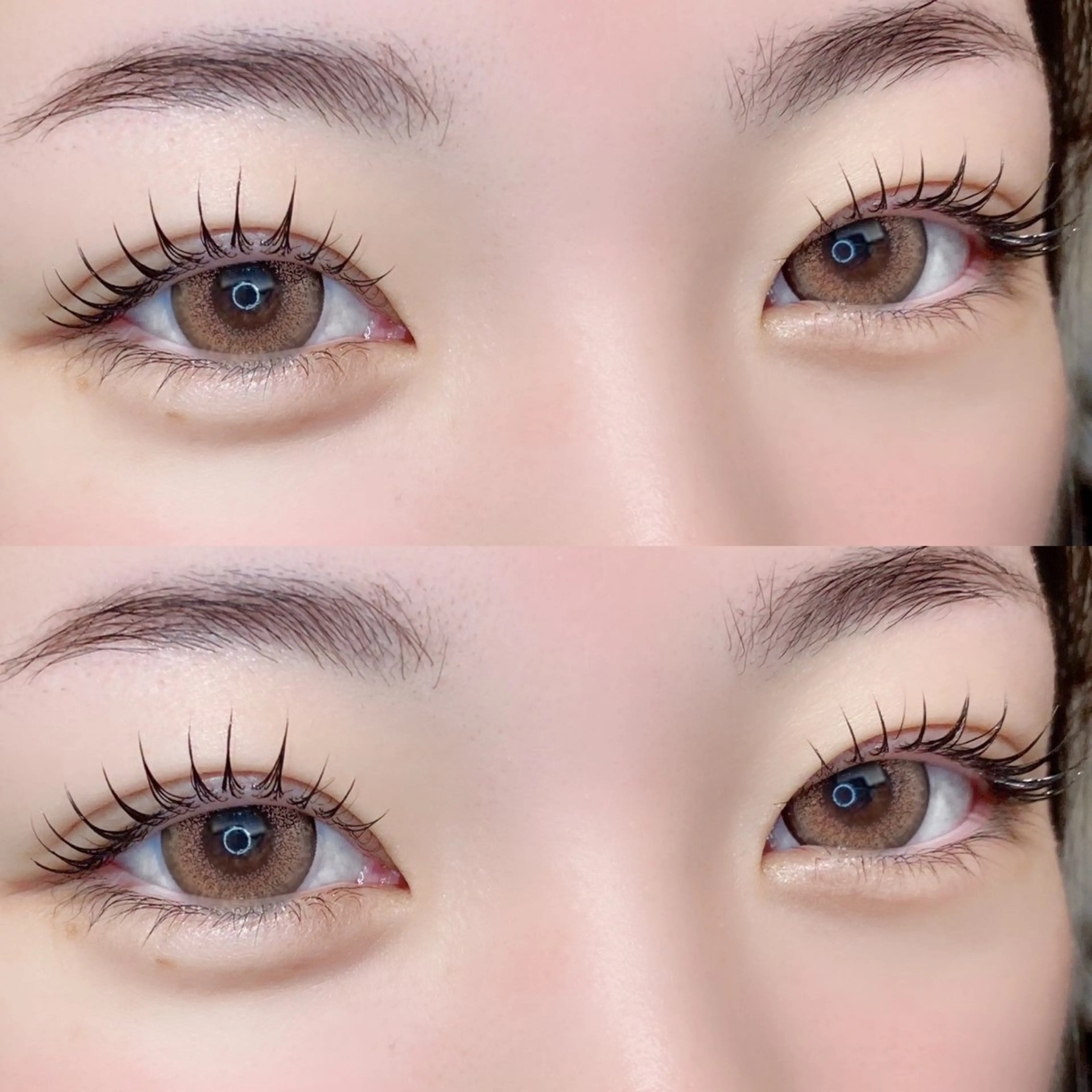 【🌼ボリュームラッシュ🌼】[80束]<細い少ないお悩みに!>の写真