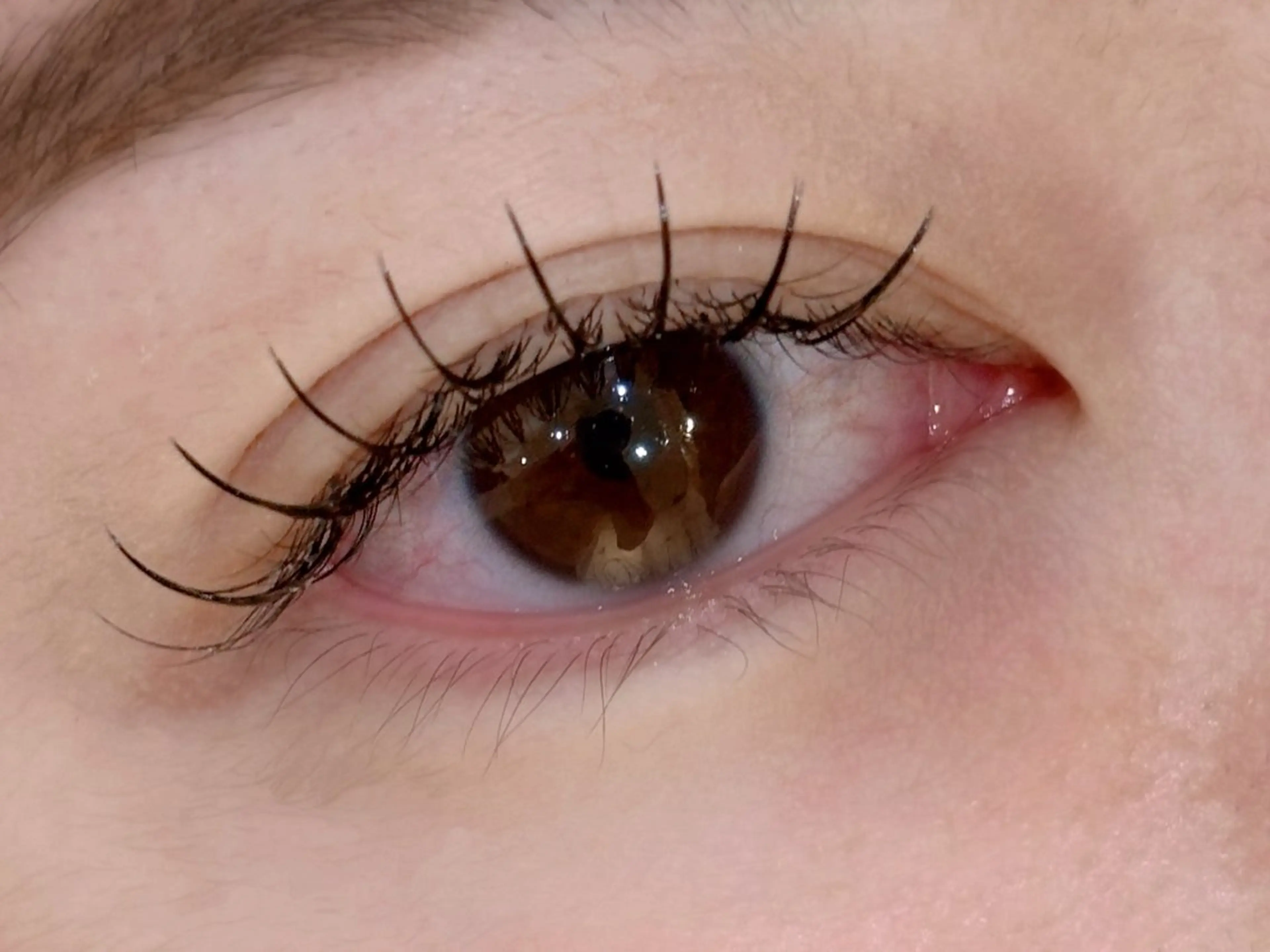 フラットラッシュ♪マツエク100本 【オフ無料】¥4000の写真