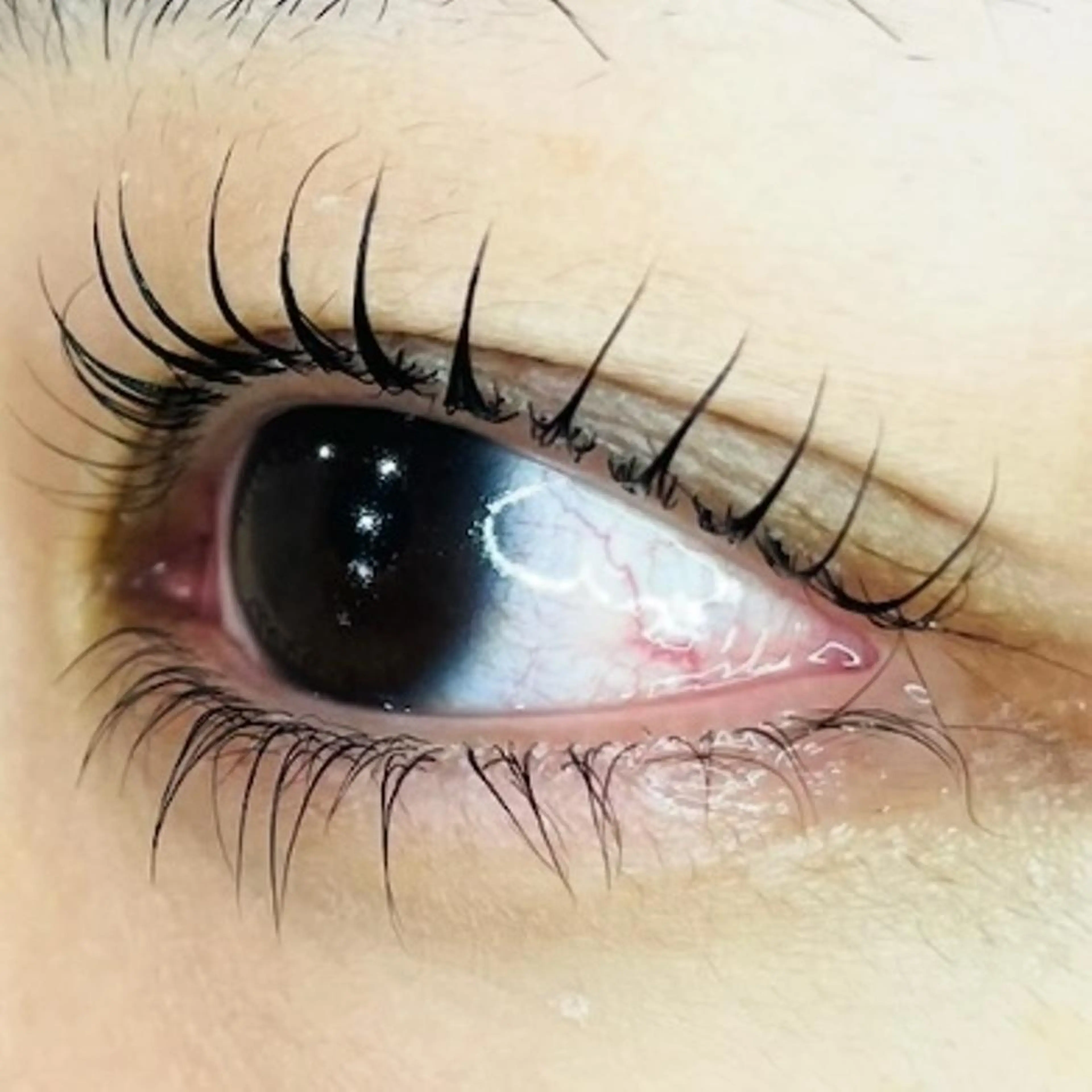 マツエク・マツパ 下まつげエクステ 一重×まつ毛パーマ マツパ GLANDOLL RIEKOのマツエク・マツパデザイン