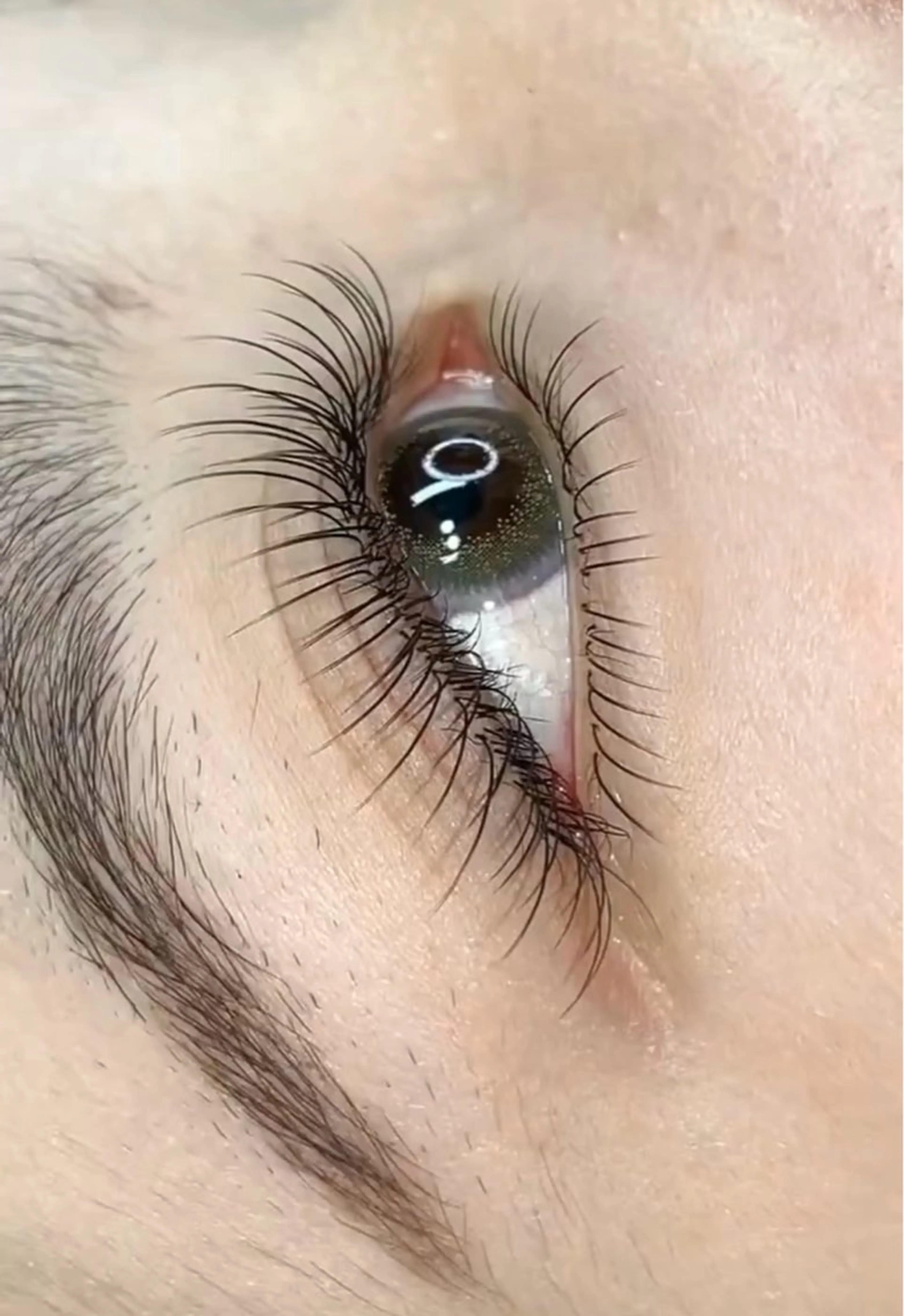 マツエク・マツパ マツエク Ai& Hitomiのマツエク・マツパデザイン