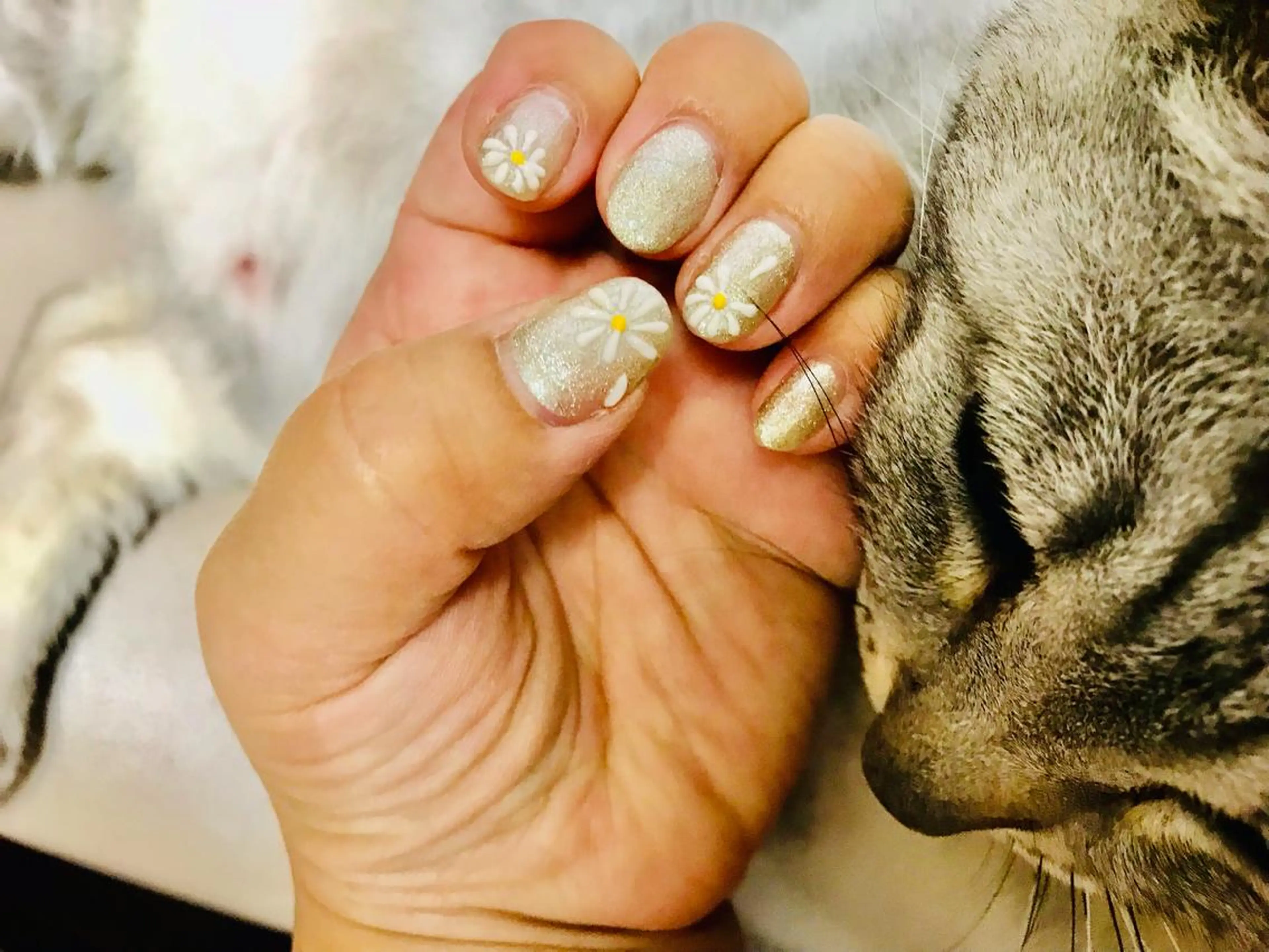 ネイル ハンドネイル Nailist Missaのネイルデザイン