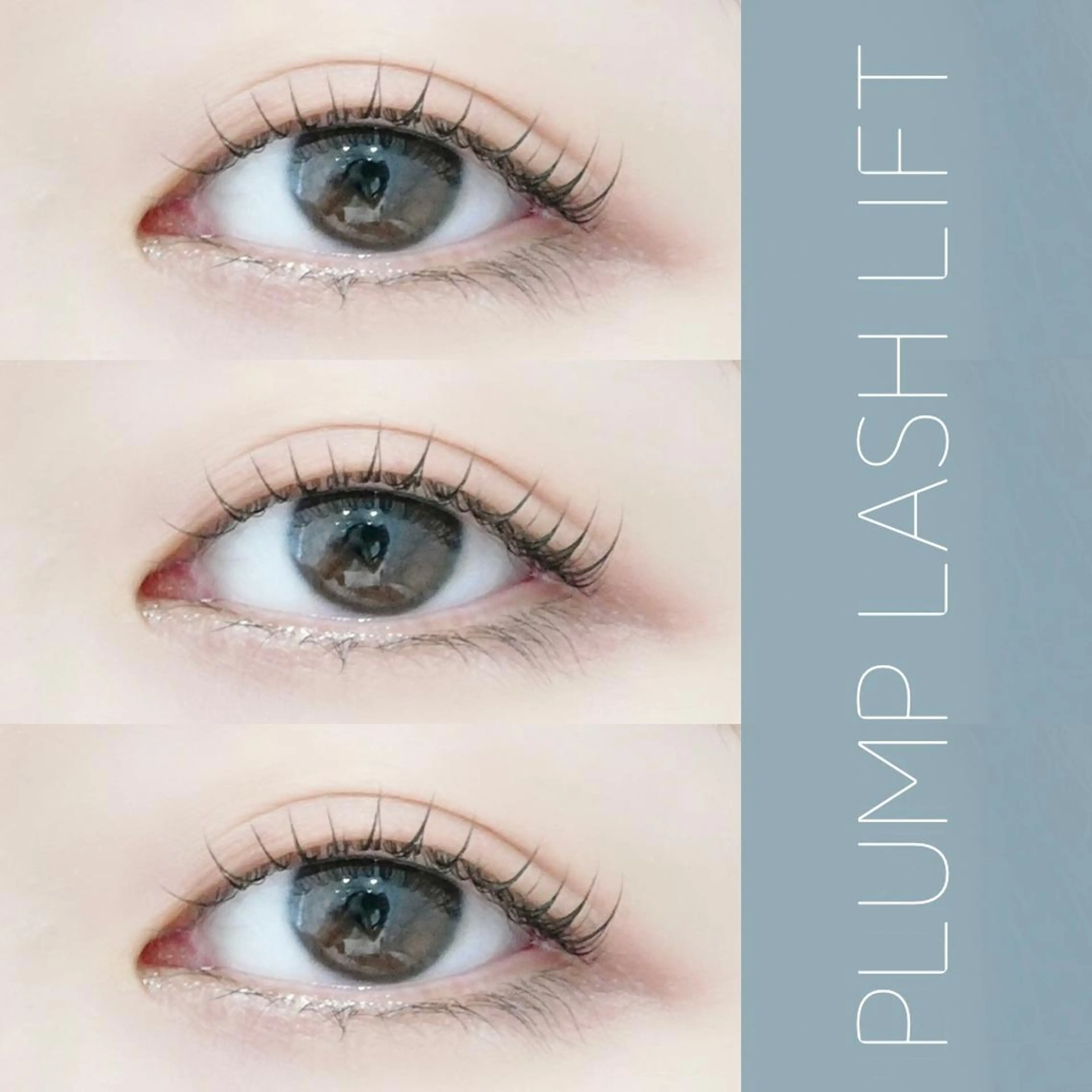 マツエク・マツパ asuka 𖥸 アイブロウ🦊🤎の眉毛・アイブロウイメージ