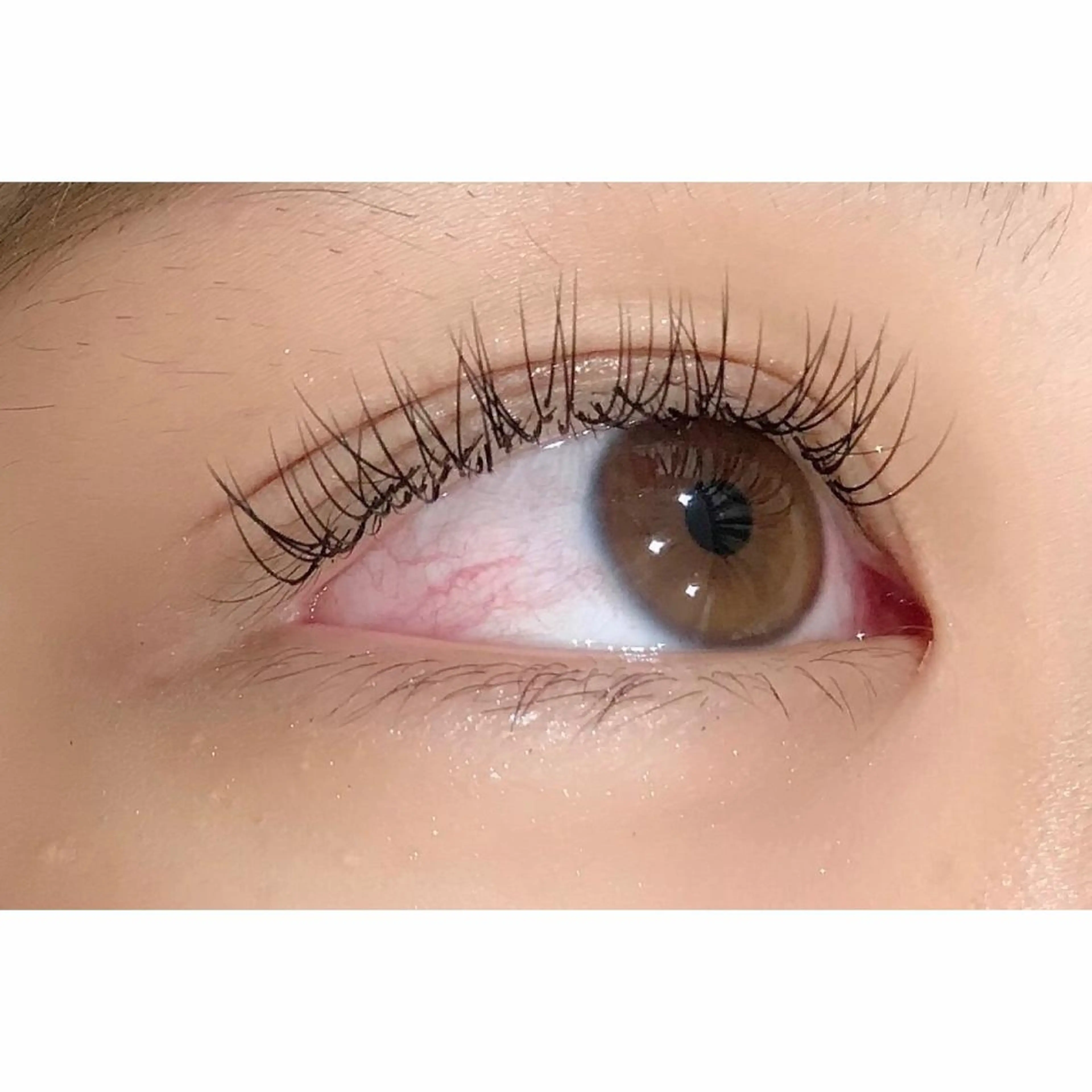 マツエク・マツパ Dカール セーブル 矢澤 まなみのマツエク・マツパデザイン