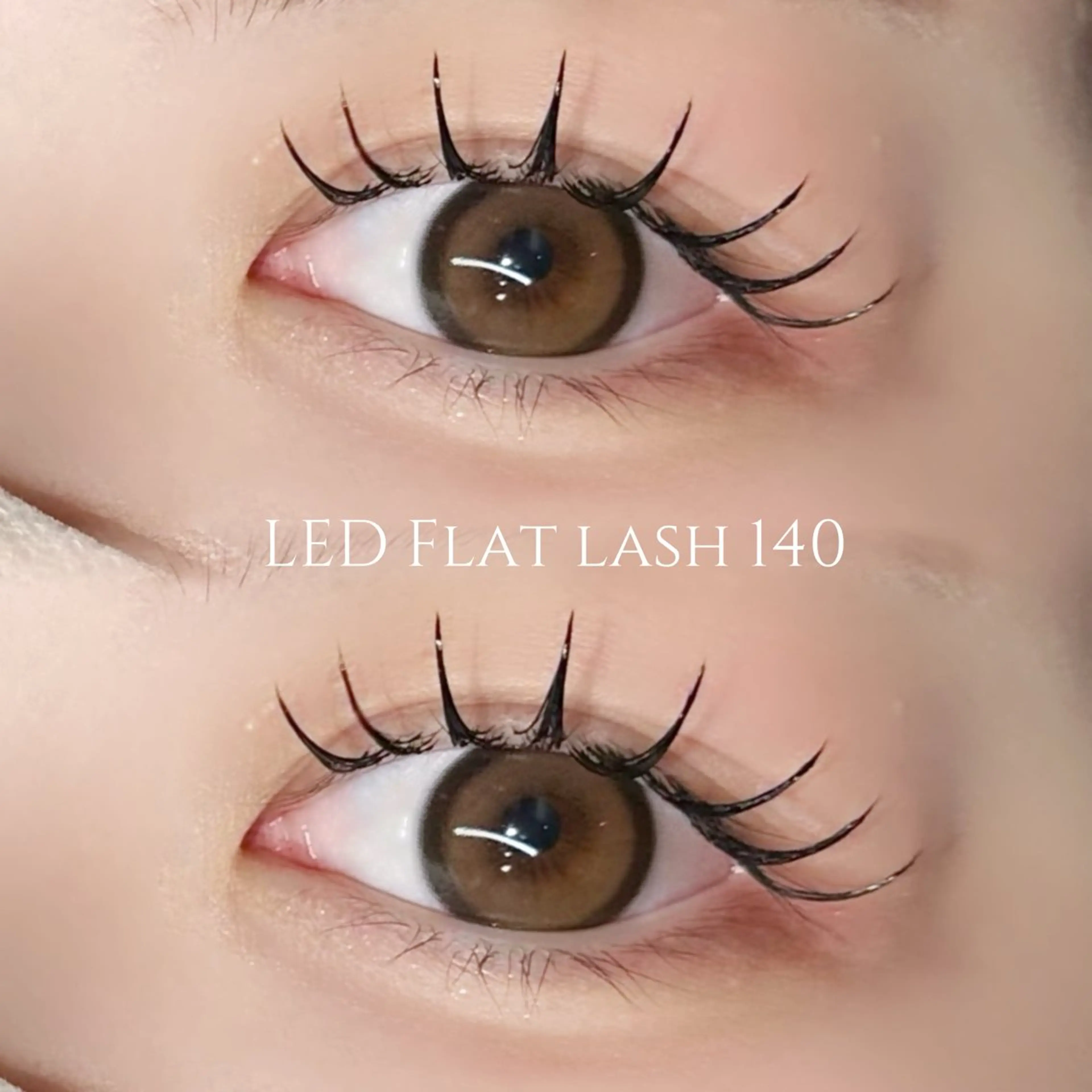 【モチ抜群◎】オフあり🙆🏻LEDフラットラッシュ140本💛ご新規様¥6400/再来様 ¥7730の写真