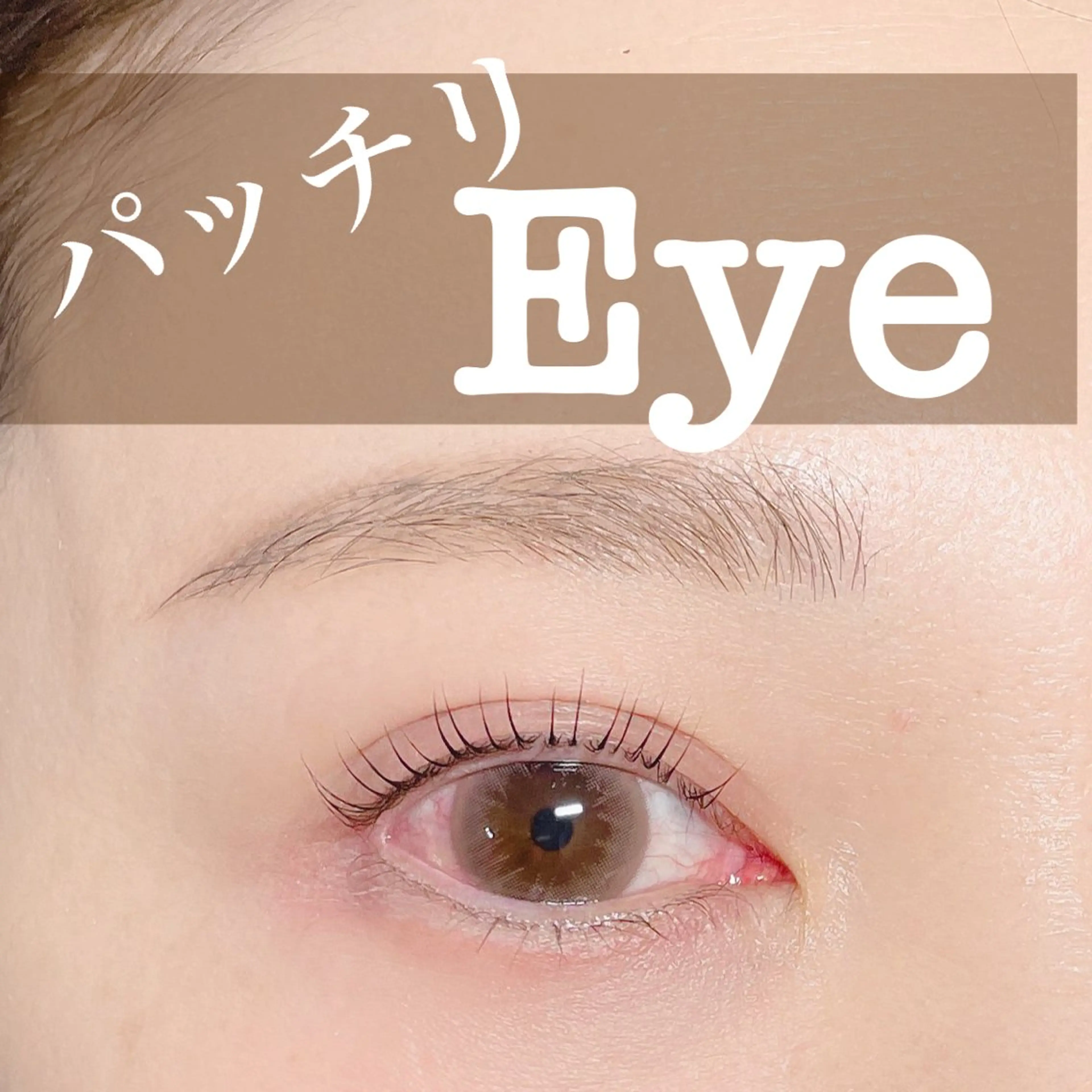 マツエク・マツパ マツパ N.natura所属・五藤 なみのマツエク・マツパデザイン