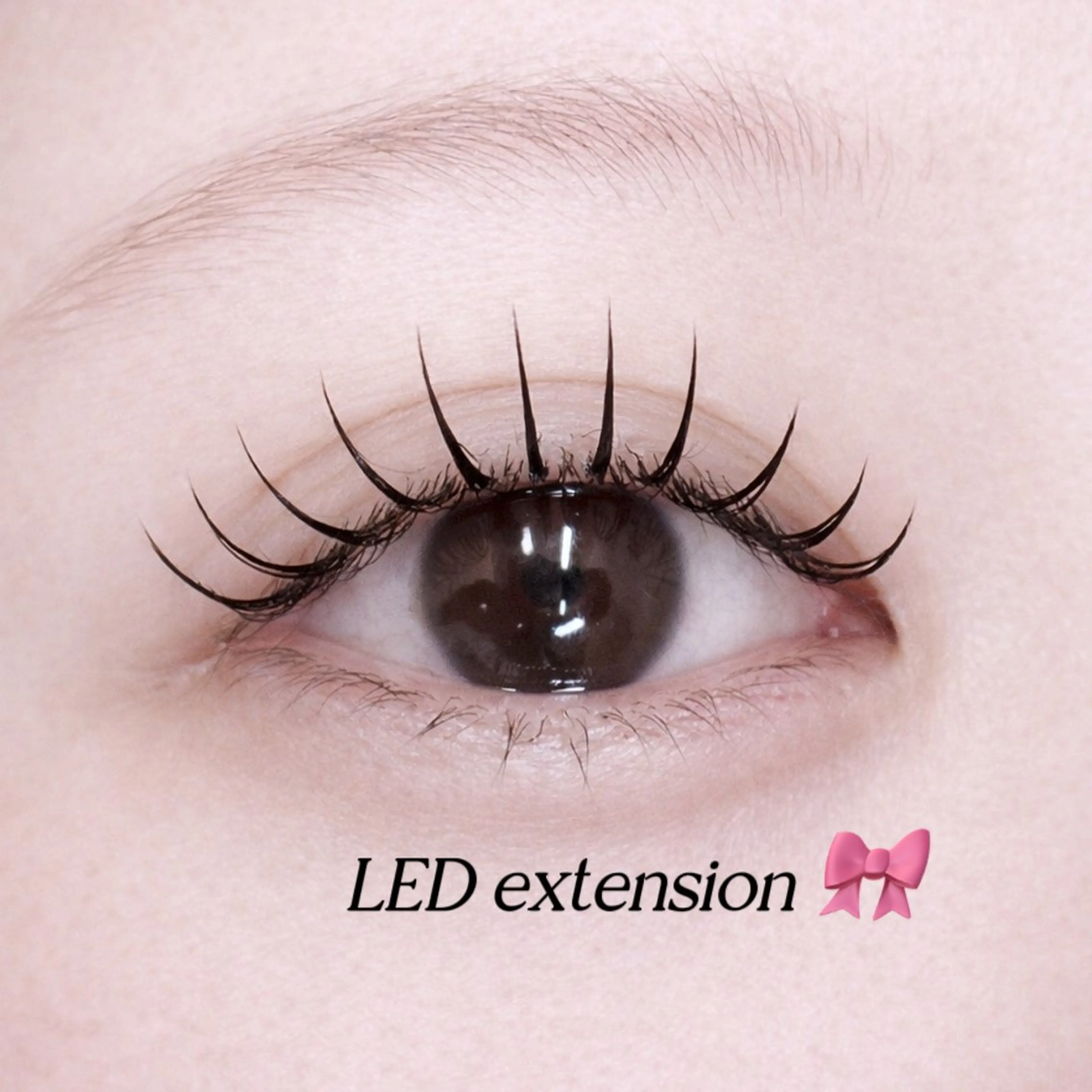 【新規】最新パリエク［エクステ×パーマ］90分🎀¥9500の写真