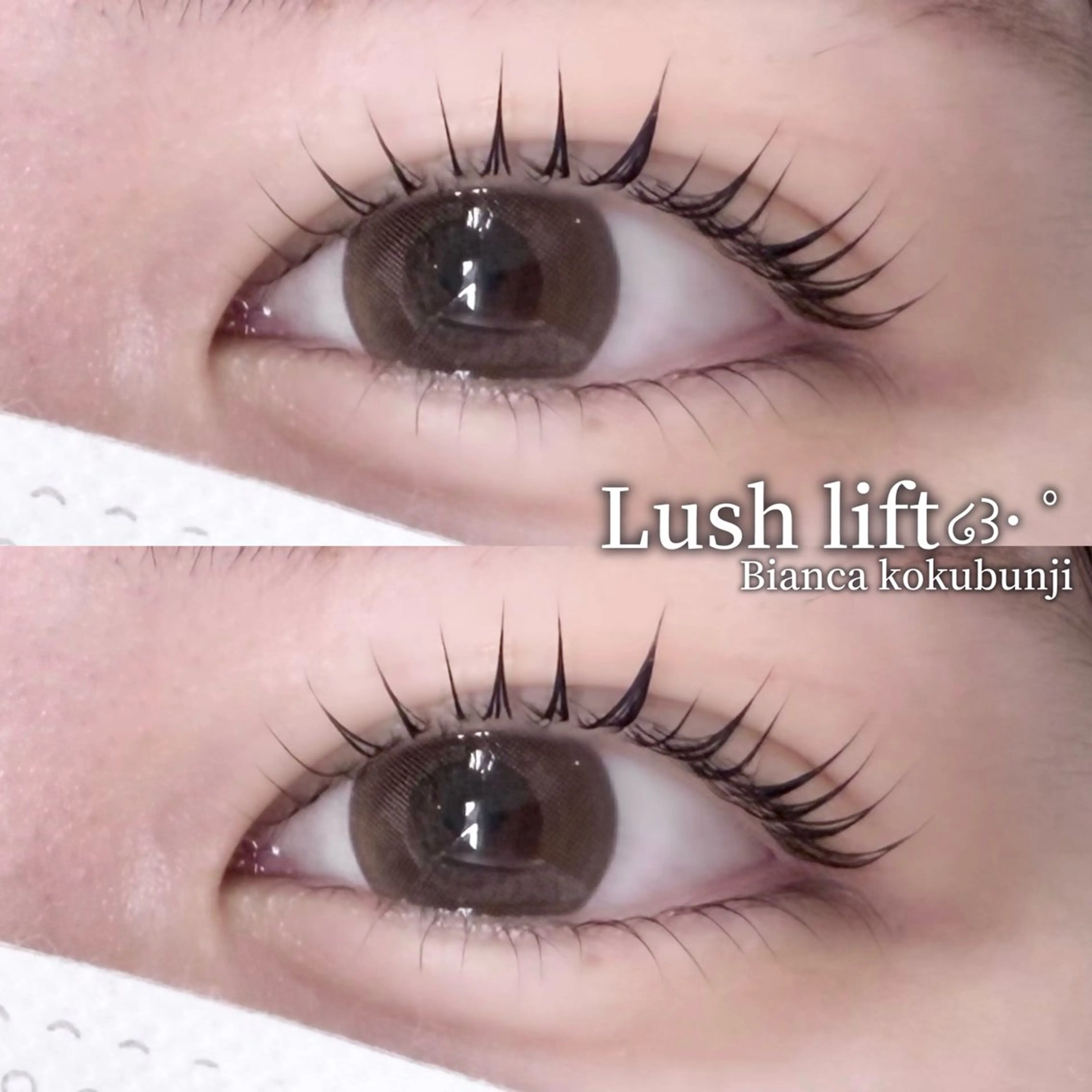 マツエク・マツパ 一重×まつ毛パーマ マツパ 🩶Bianca 副店長ハシモト🩶のマツエク・マツパデザイン