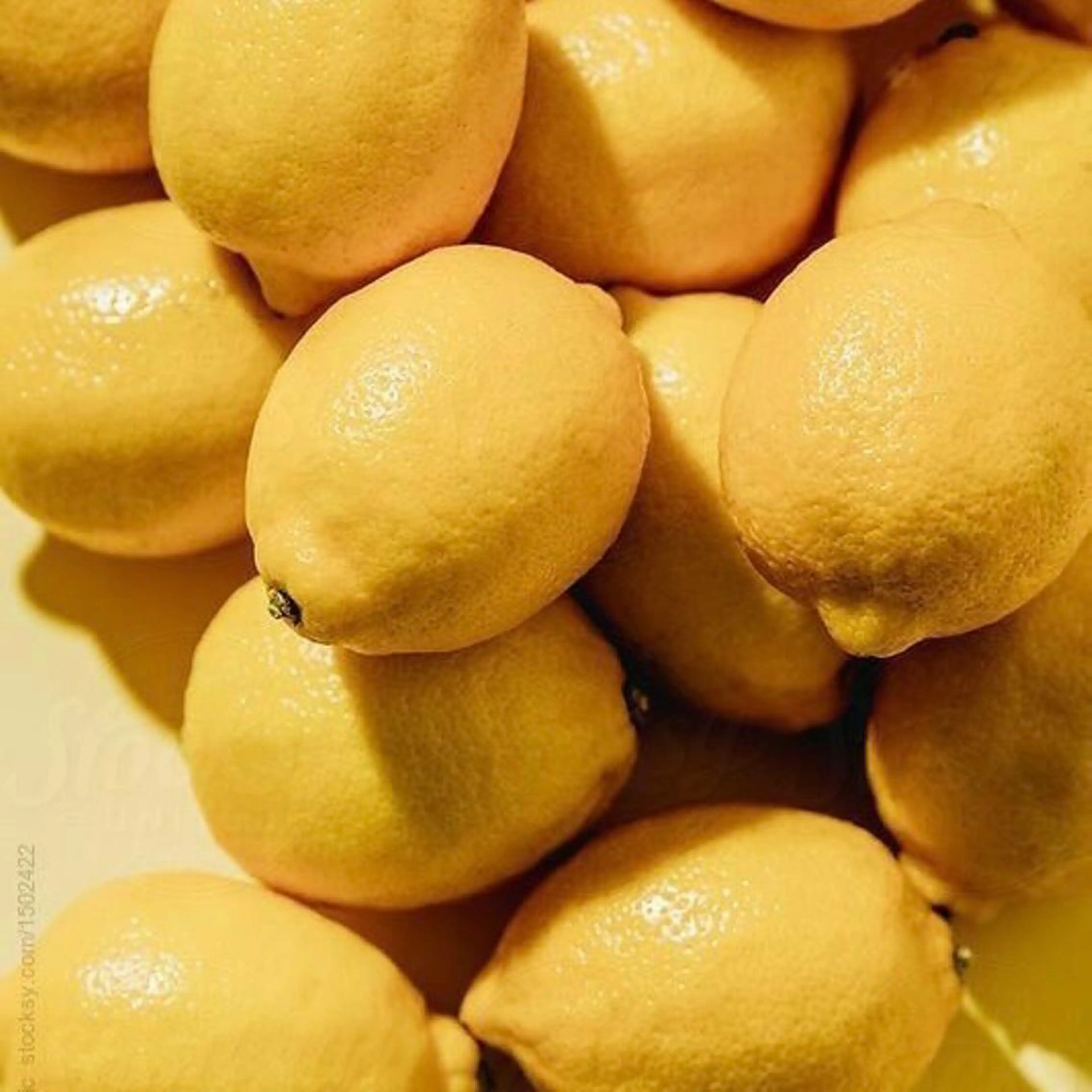 shiho .のヘアスタイル