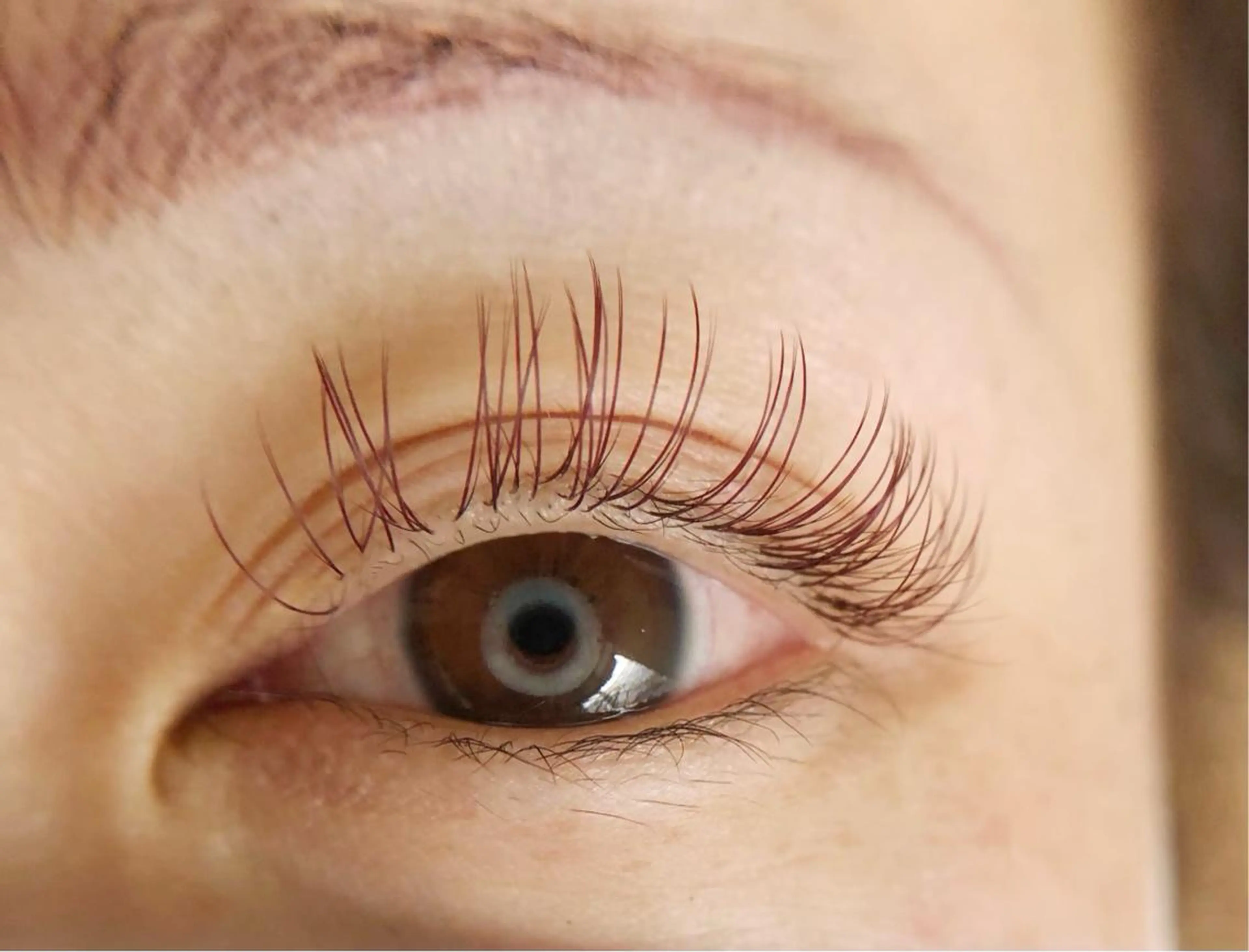 カラー マツエク・マツパ ブラウンカラー レッドカラー カラーマツエク K&E lashe /大垣 まつ毛、眉毛のマツエク・マツパデザイン