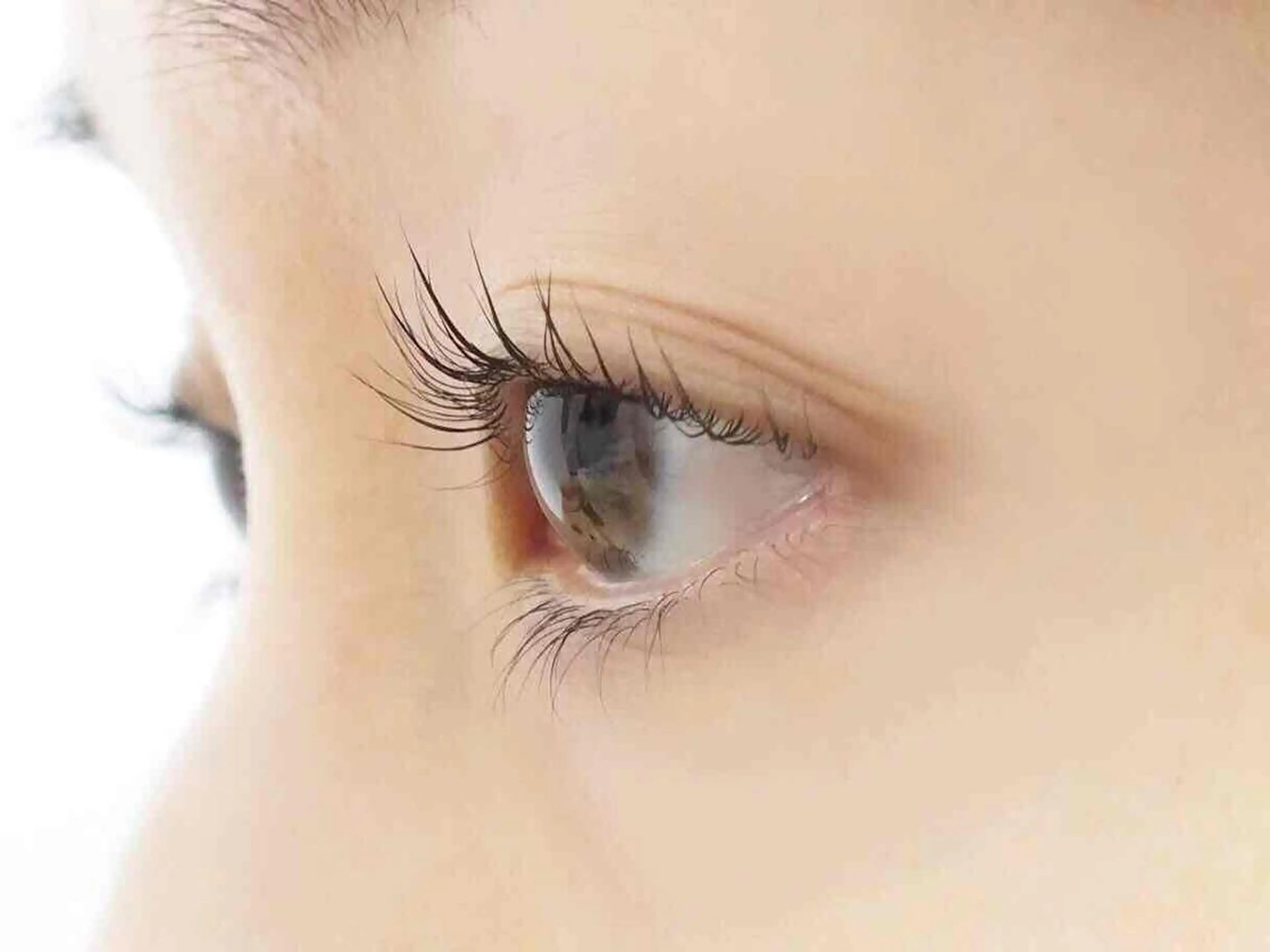 マツエク・マツパ Roco‘Lush 池袋店MAKINOのマツエク・マツパデザイン