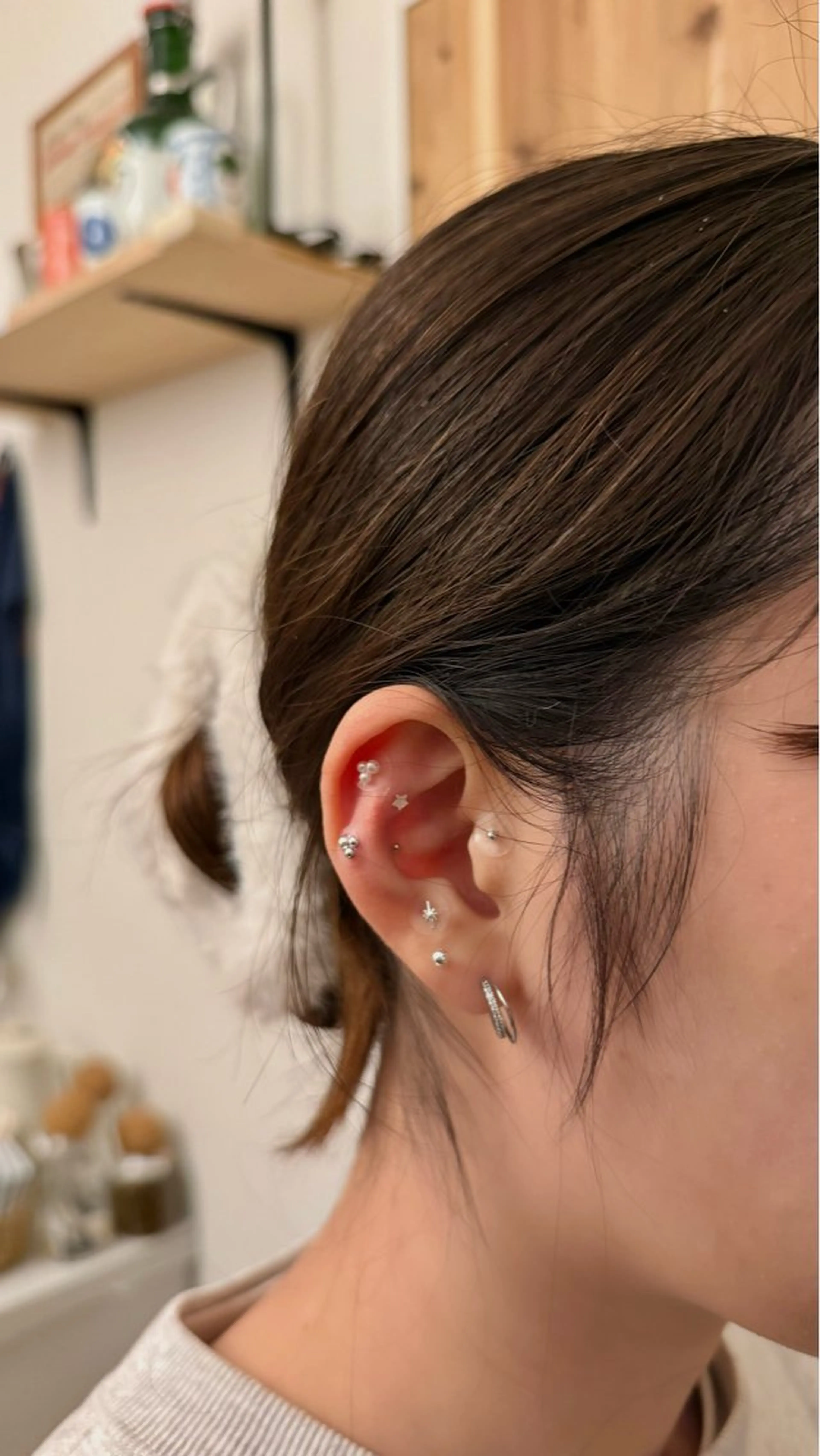 B.napus Nanohaのその他イメージ