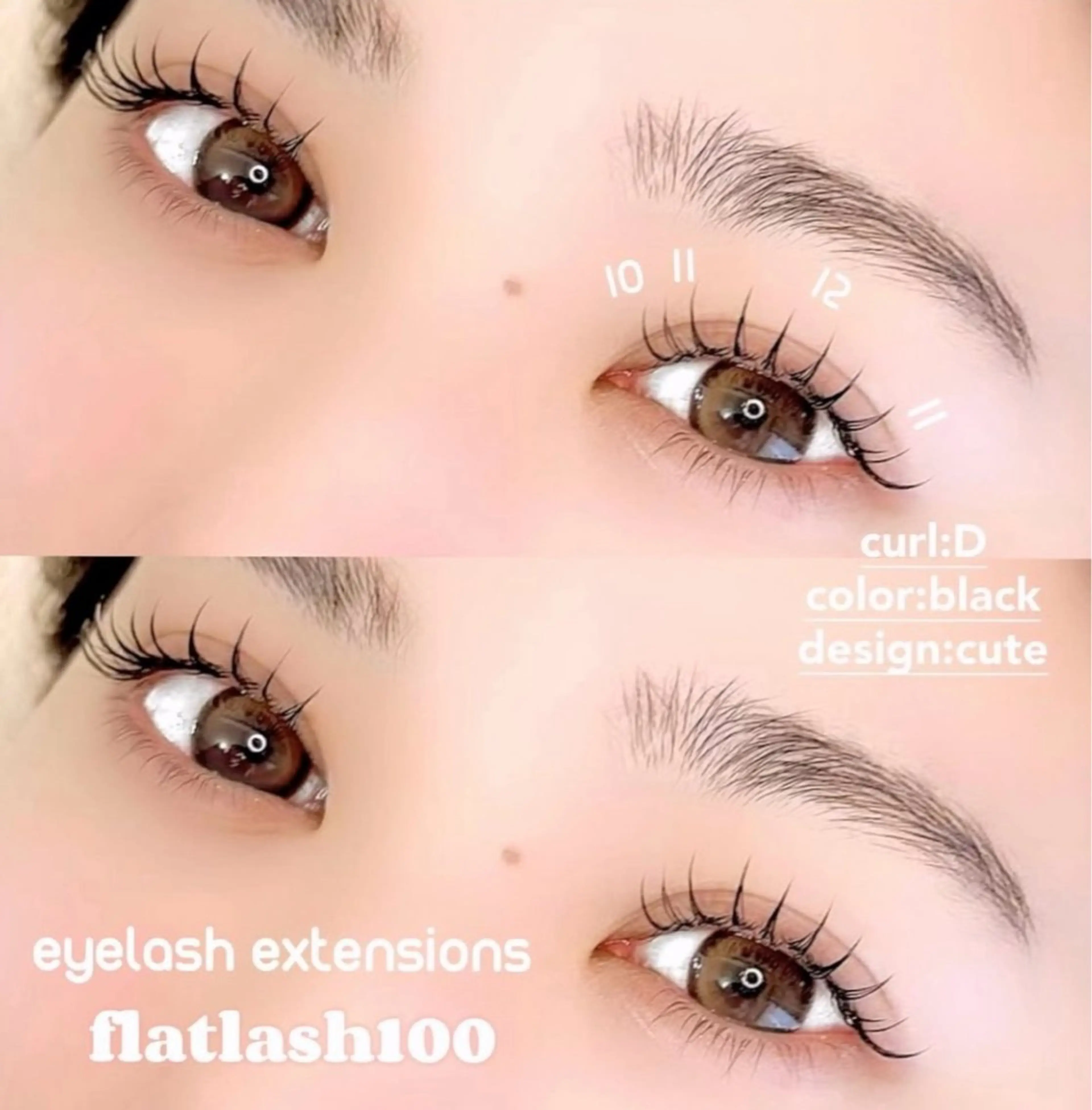 1/29  10:30限定✨️エクステ1時間で付けれるだけ！無料モデル募集🎀🤍オフ無し⚠️目尻タレ目指定モデルの写真