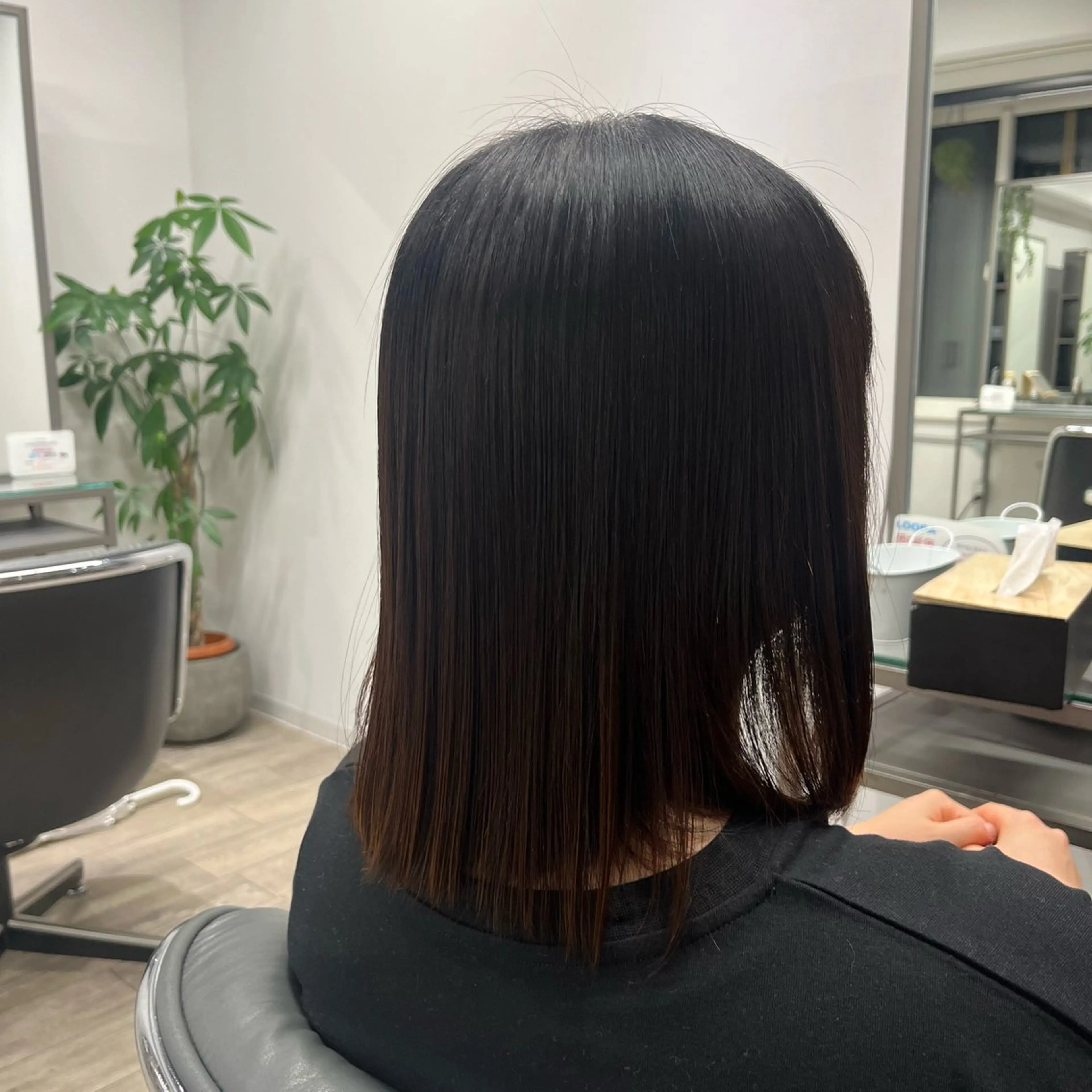 ミディアム 縮毛矯正 トリートメント JIN/暖色カラー /髪質改善/艶髪のヘアスタイル