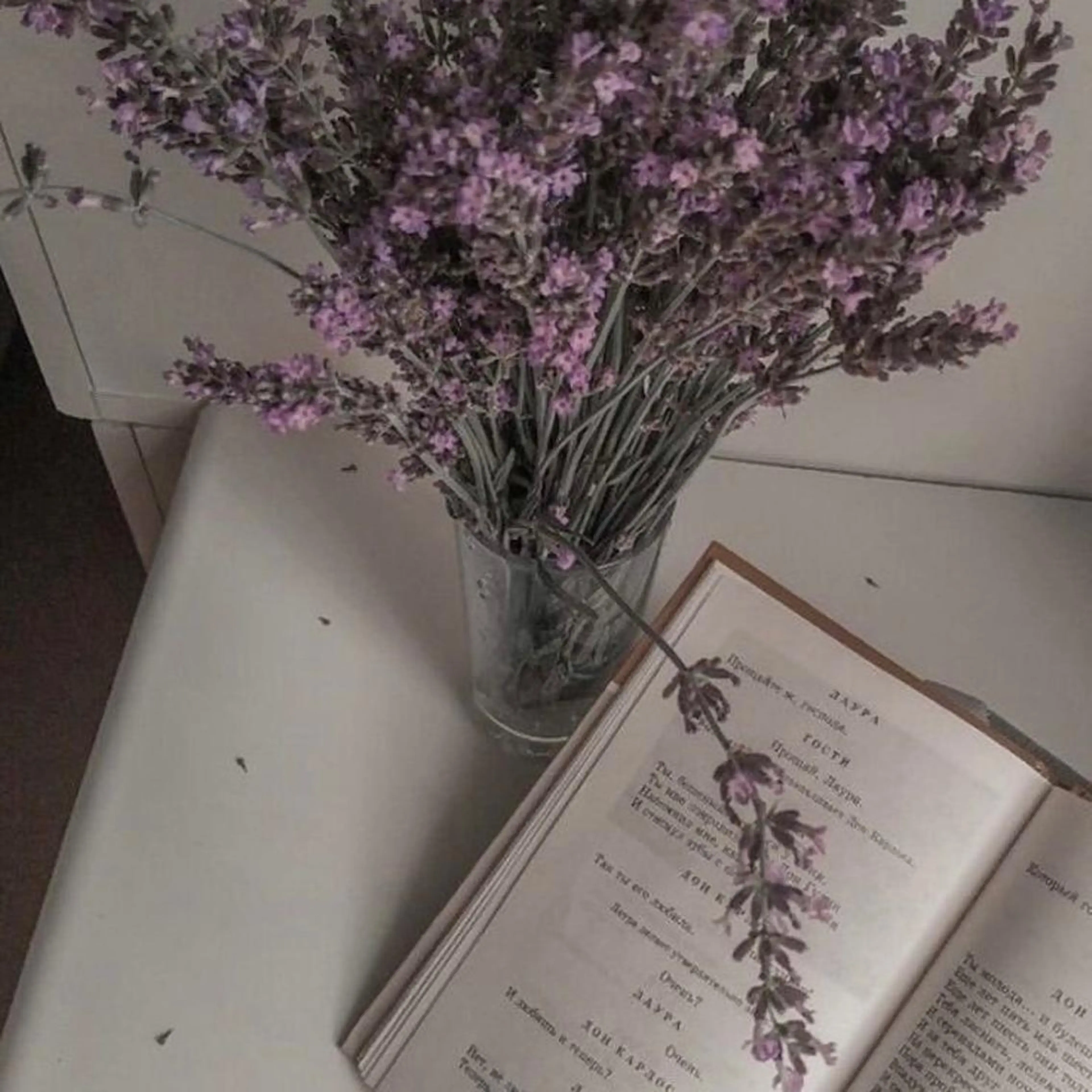 マツエク・マツパ マツエク miien(SALONVILLAGE内)所属・MOE /渋谷・明治神宮前のマツエク・マツパデザイン