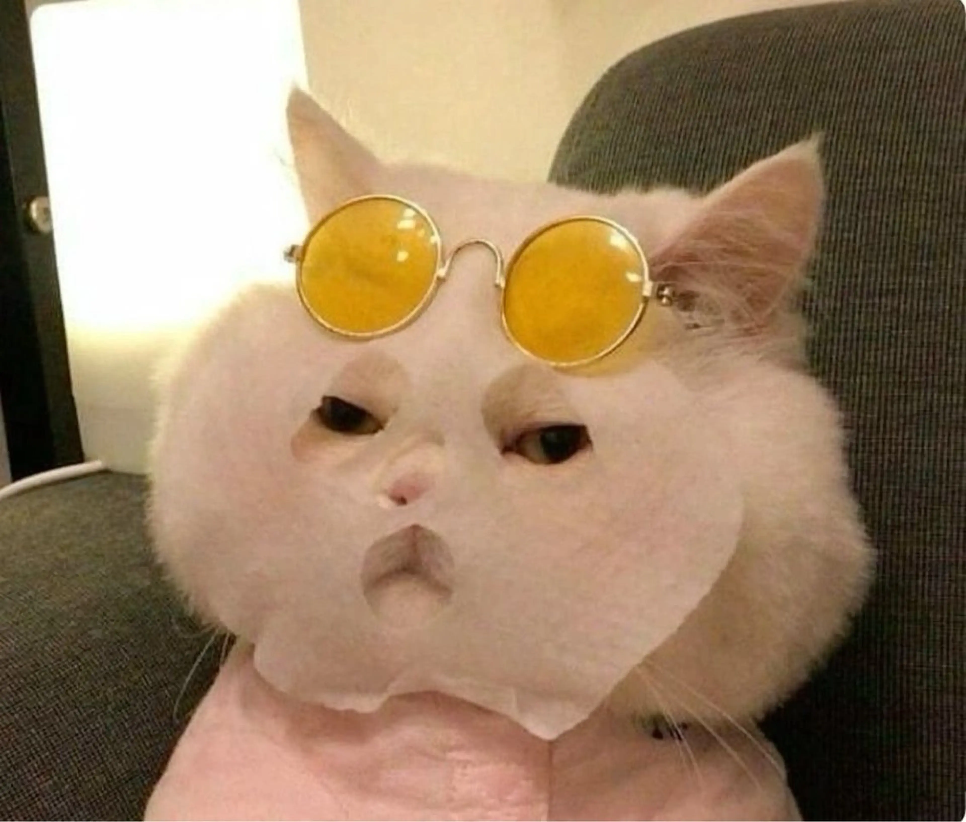 ãããšã¯ã»ããã ððªðŠðð éåœé¢š/ææ/æµæ¯å¯¿ã®ãããšã¯ã»ããããã¶ã€ã³