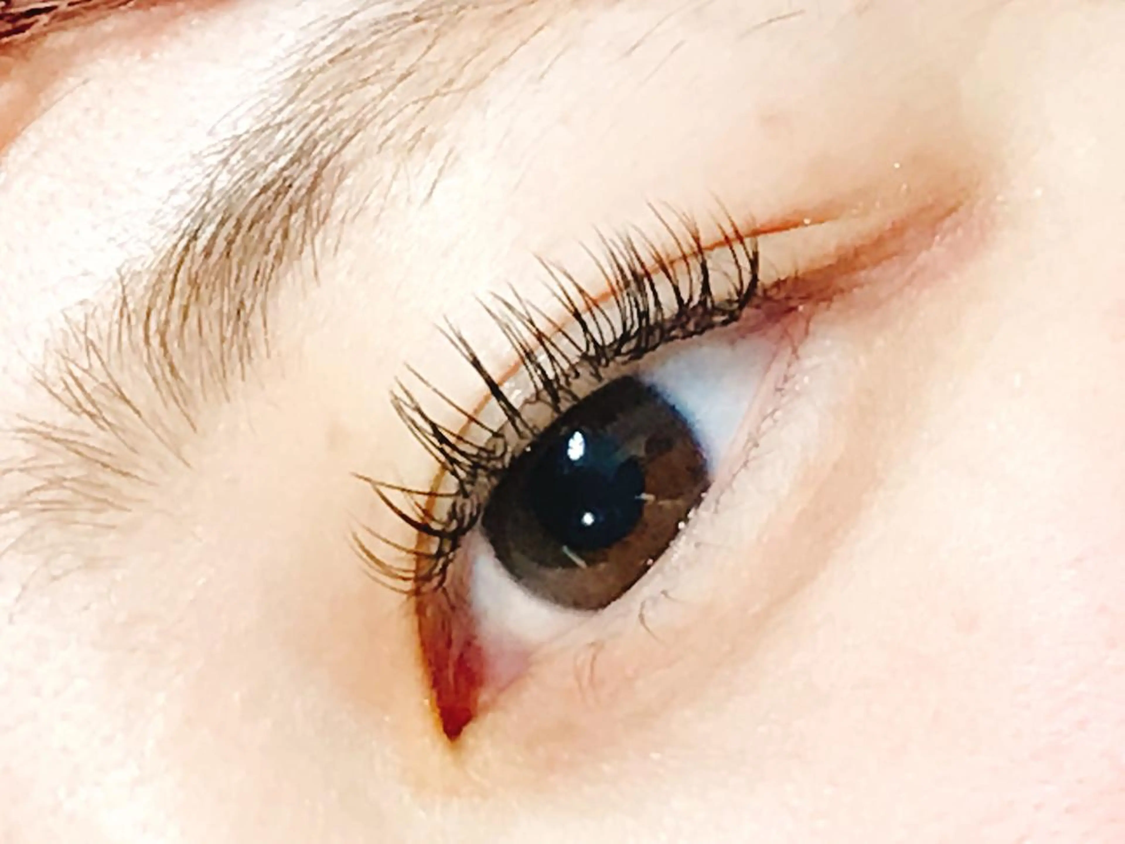 【オフなし】フラットマットラッシュ120本❤️の写真