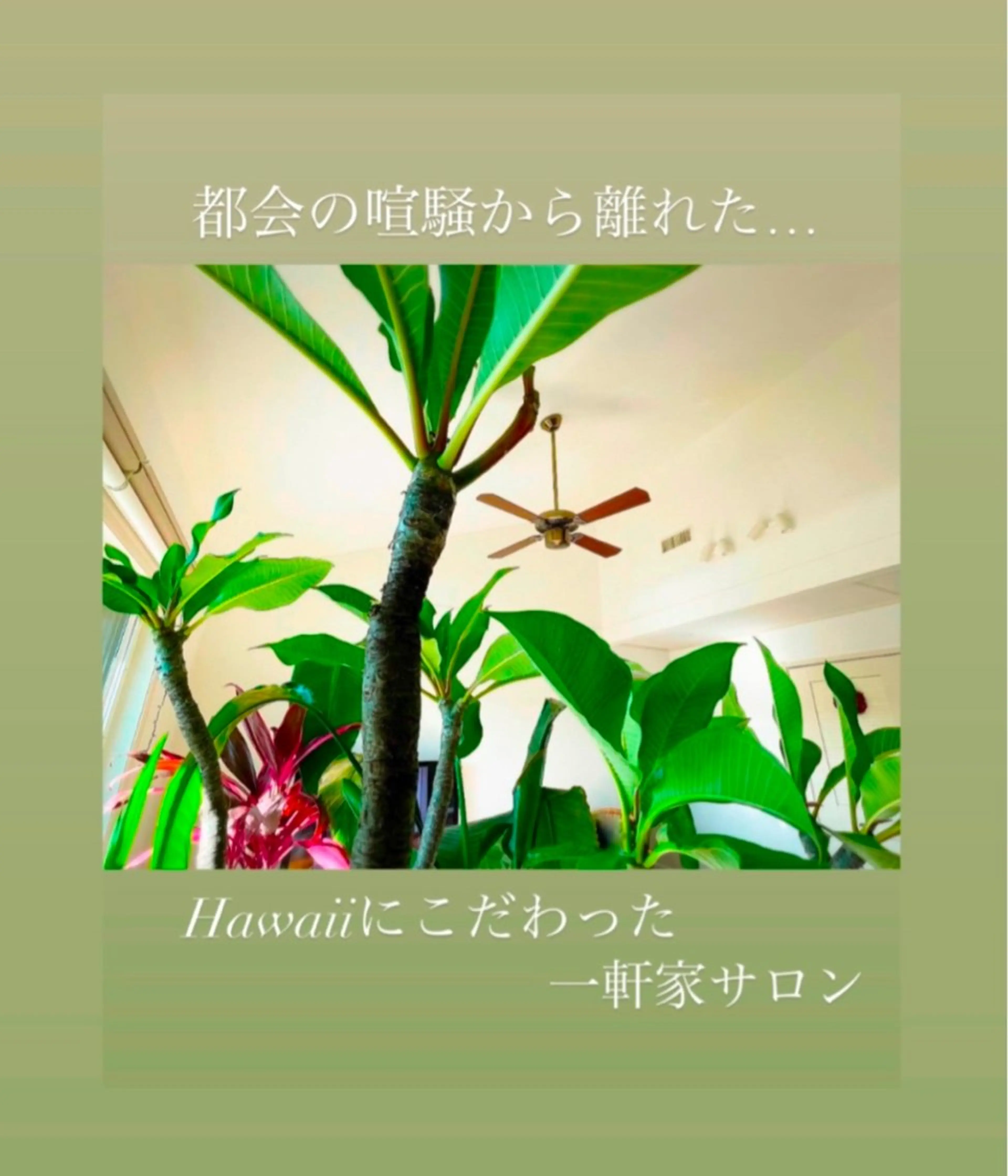 レイ・ナアラ セラピストまゆのエステ・リラクイメージ