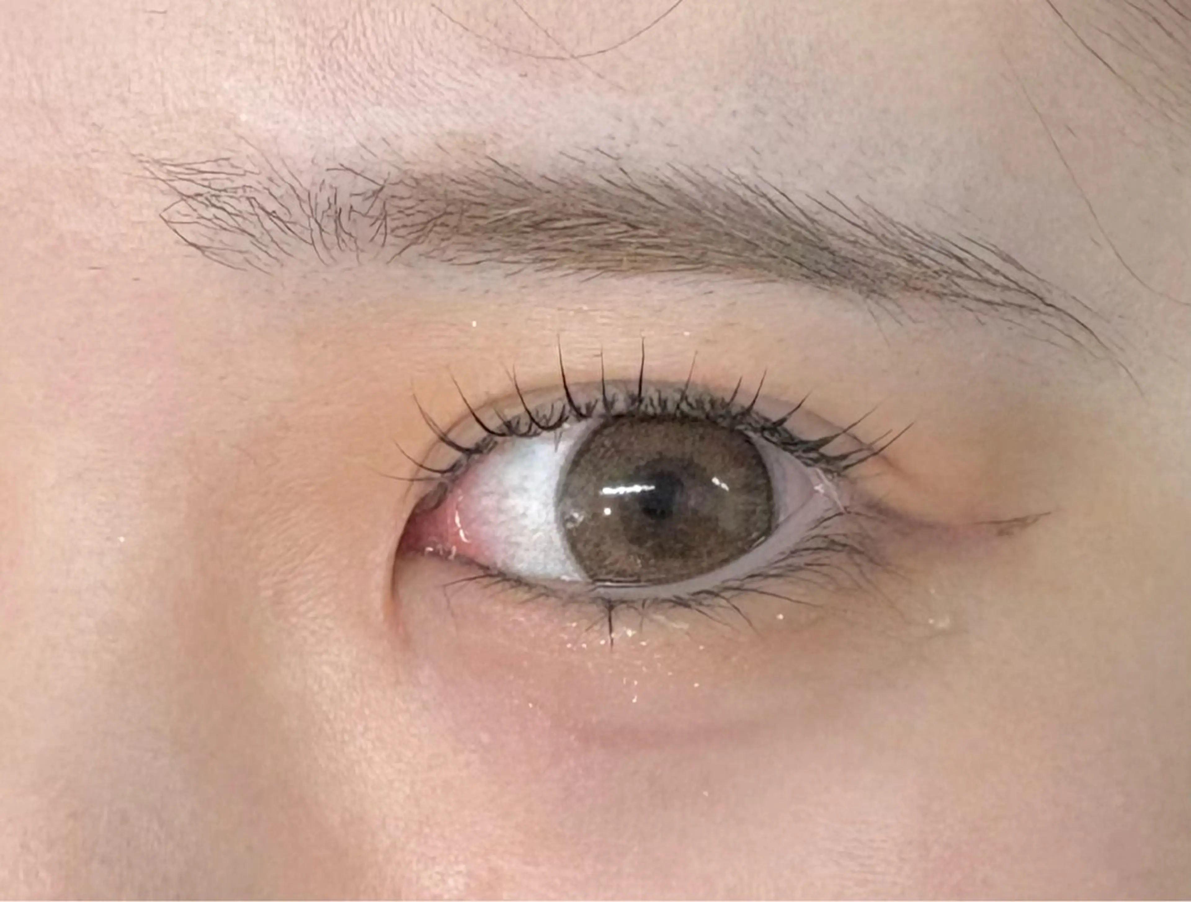 マツエク・マツパ Holus Moriguchiのマツエク・マツパデザイン