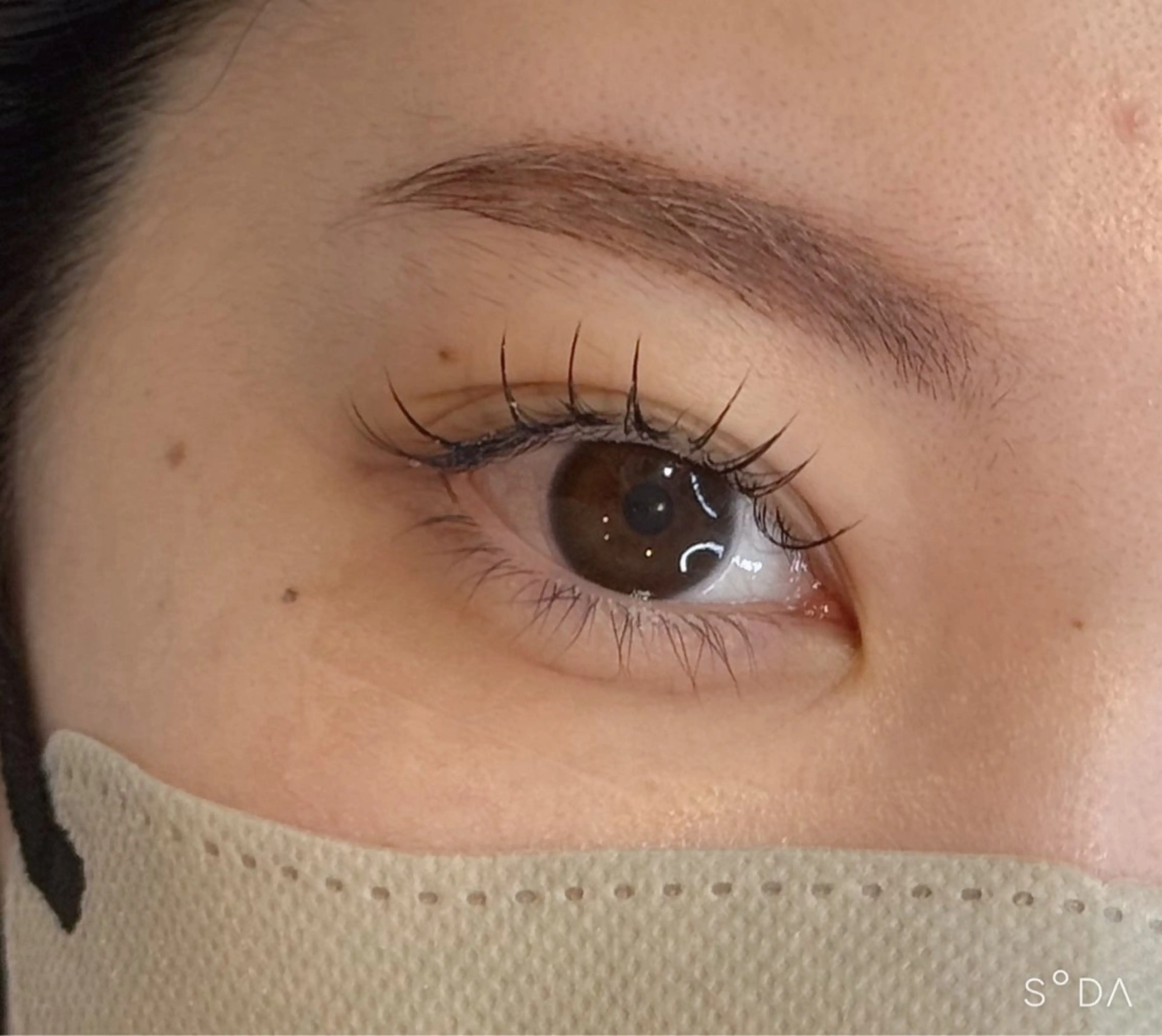 マツエク・マツパ フラットラッシュ 【eight eye lash】カワダ🫧のマツエク・マツパデザイン