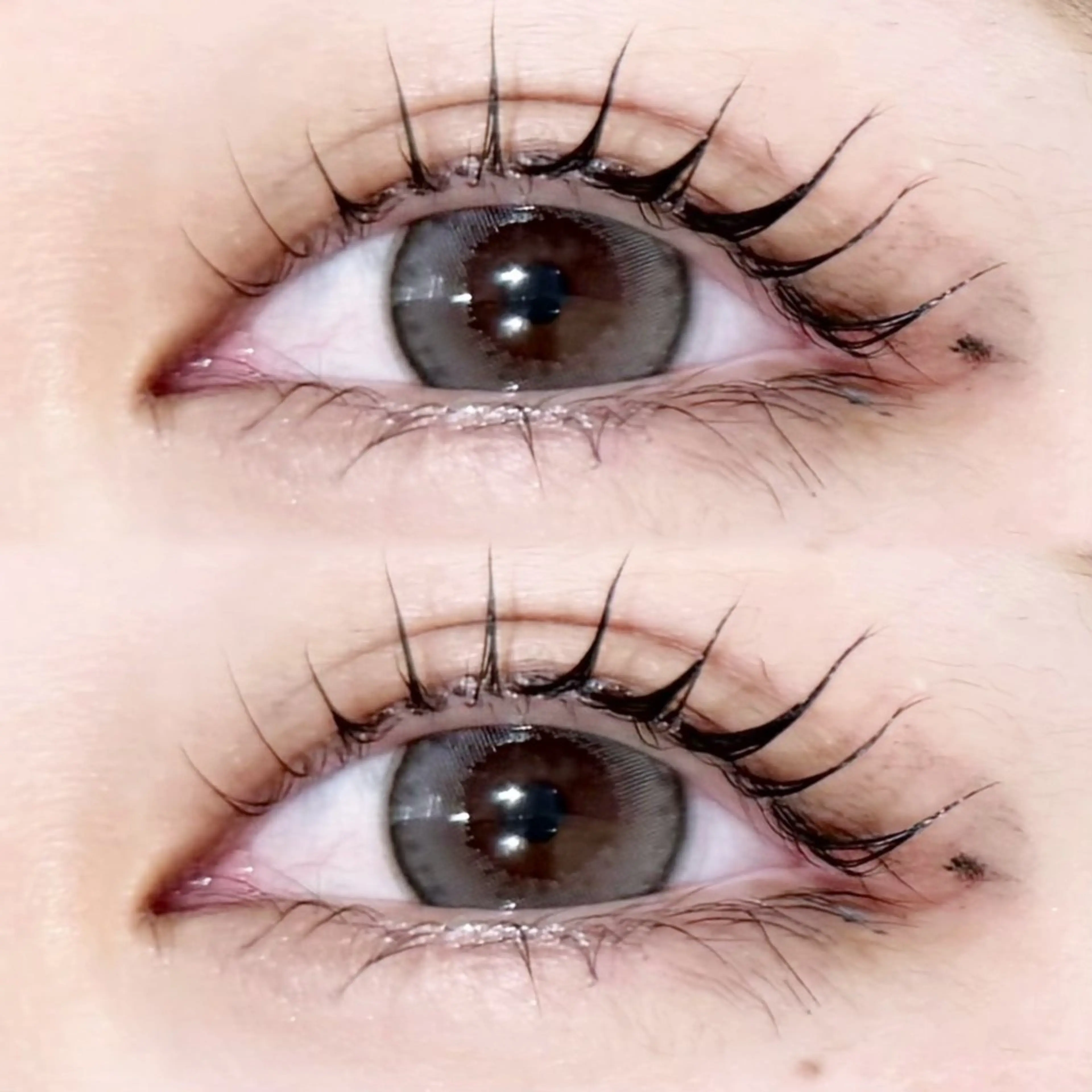 《 🫧🪽‪根元からぱっちり長さ際立つ🪽‪🫧 》 💫パリジェンヌ💫の写真