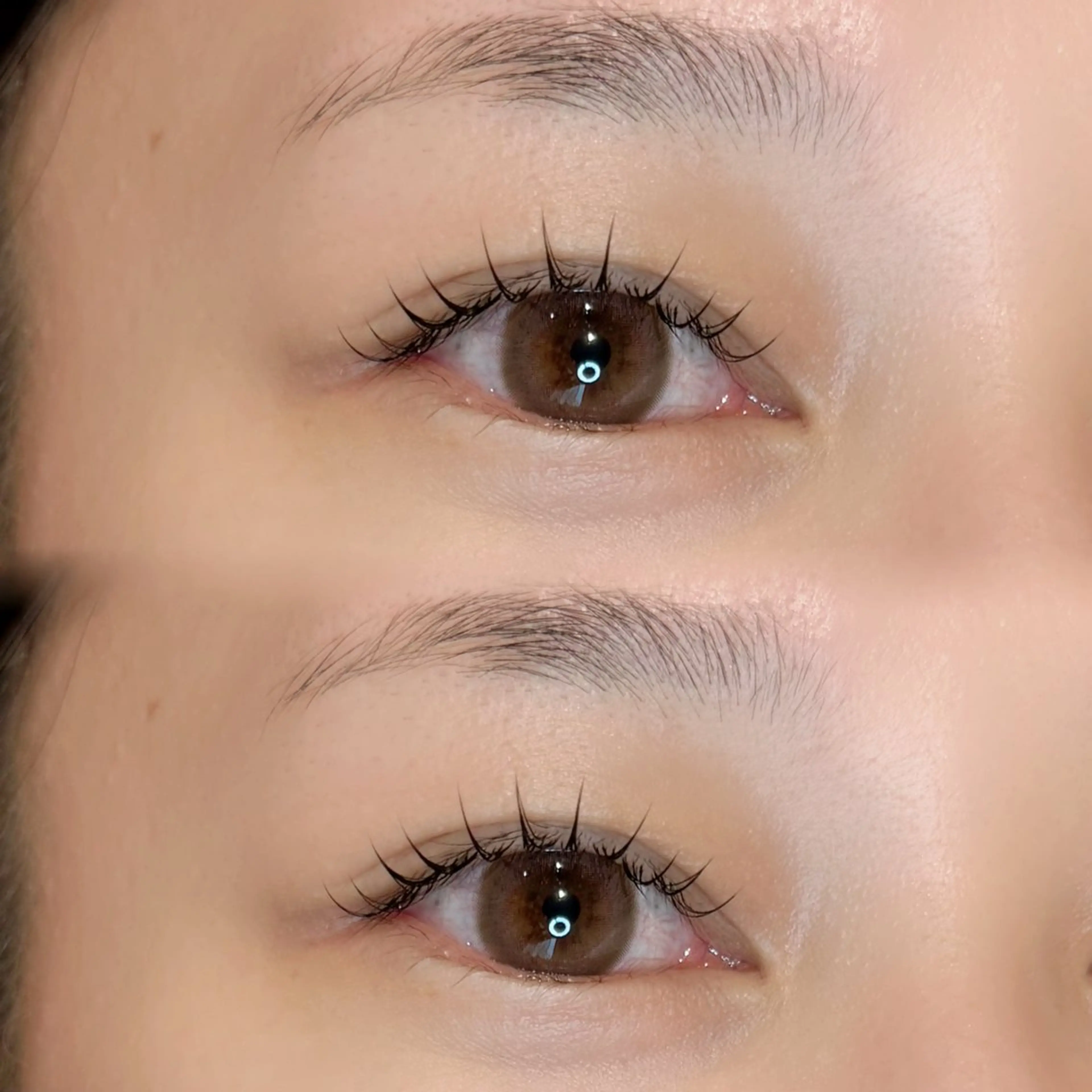 【人気No.1メニュー🫧】まつ毛パーマ+コーティング　¥5980の写真