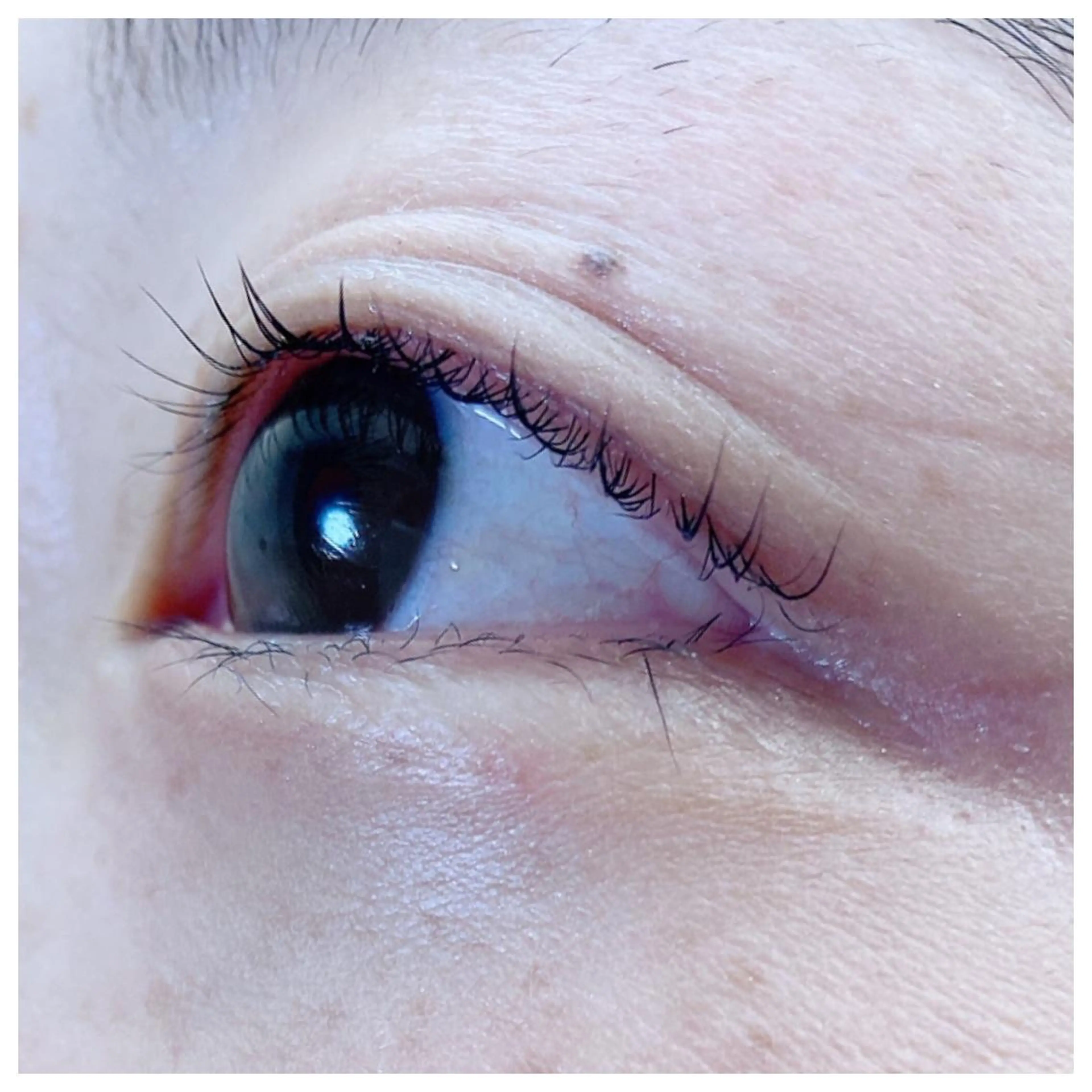 マツエク・マツパ プティメゾン別府所属・黒木 茜のマツエク・マツパデザイン