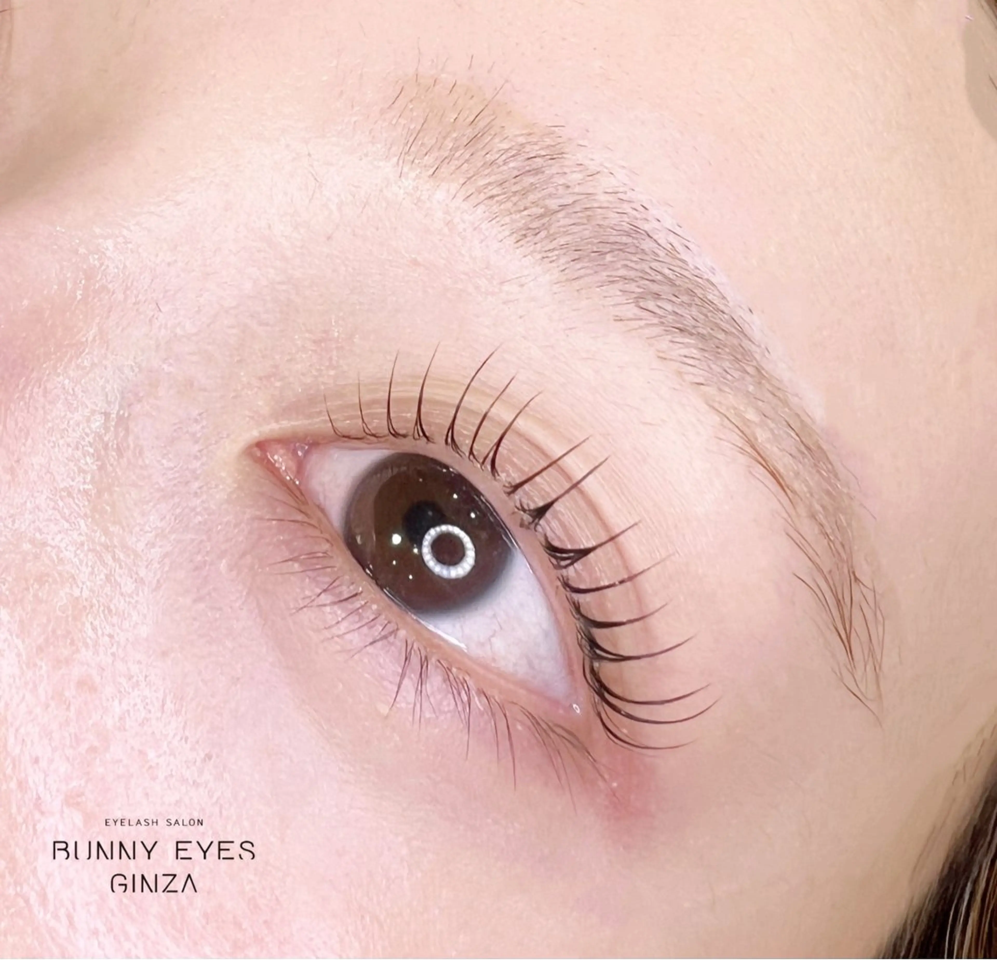 マツエク・マツパ マツパ bunny eyes 阿久根のマツエク・マツパデザイン