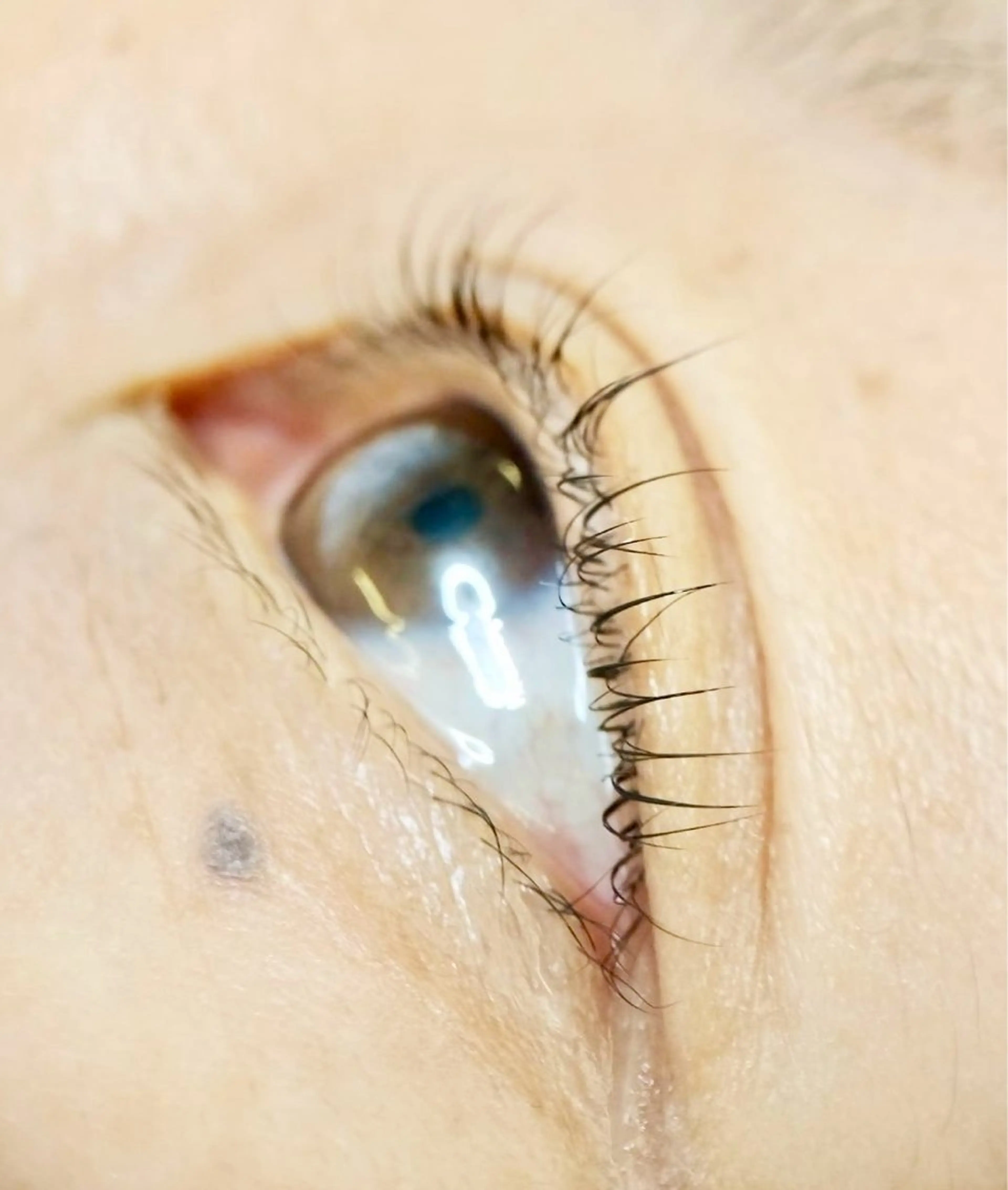 似合わまつ毛カールの写真