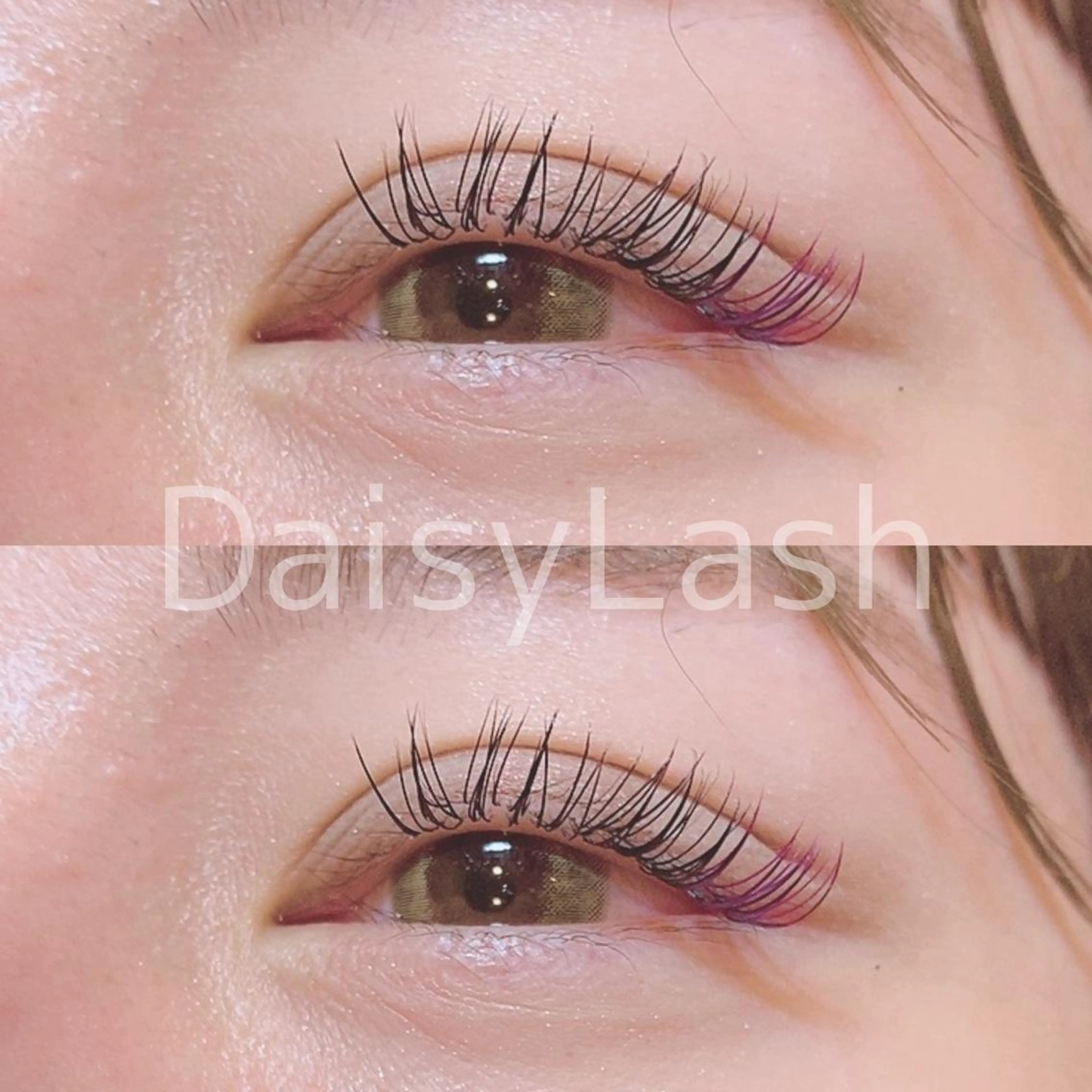 マツエク・マツパ DaisyLash 京橋店のマツエク・マツパデザイン