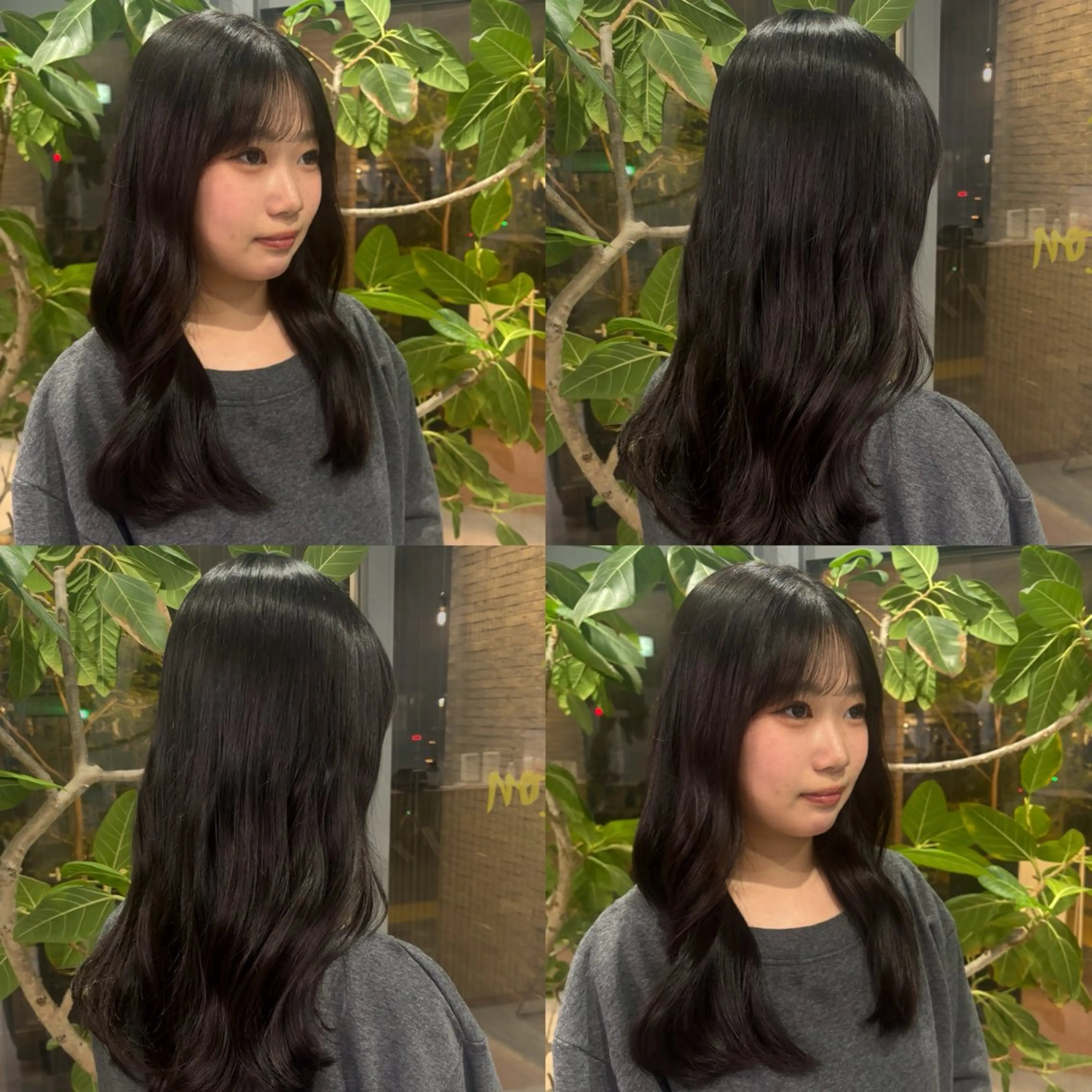 カラー ヘアカラー 🐈‍⬛JUMI /透明感カラー/🩶のヘアスタイル