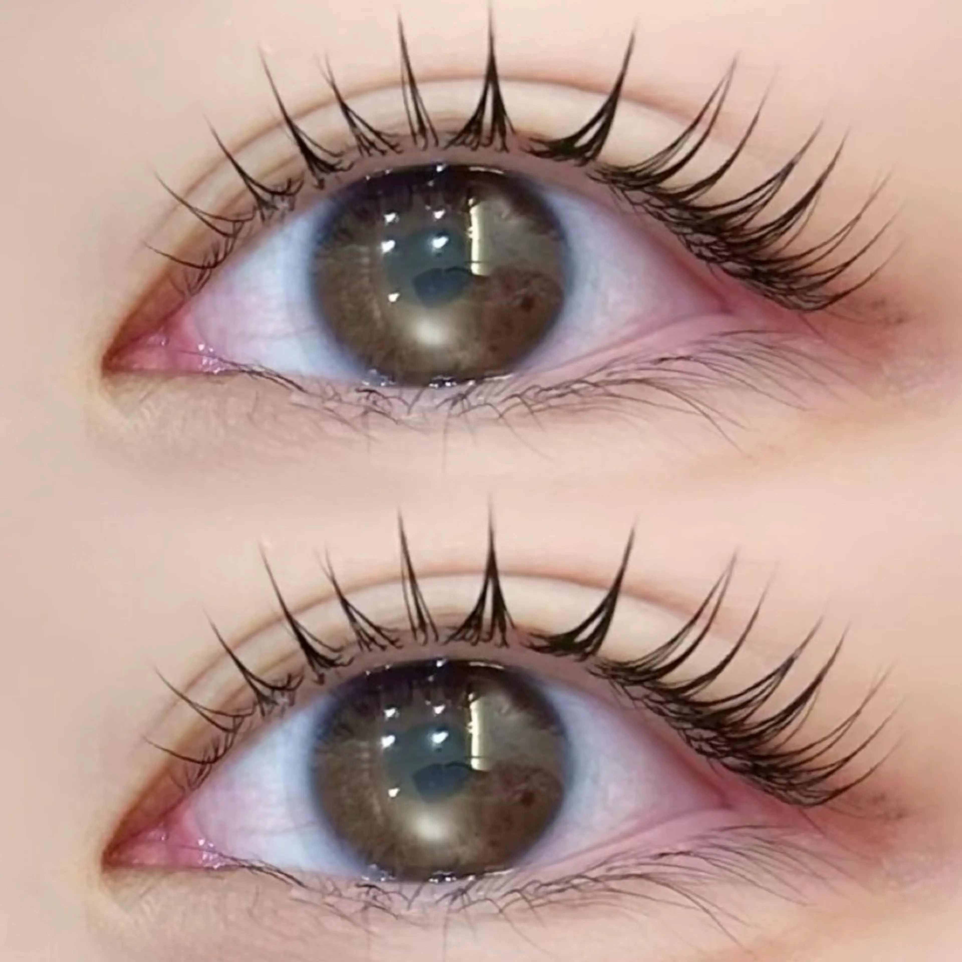 マツエク・マツパ 艶カラー/ブリーチ なし/ASUMI🎀のヘアスタイル