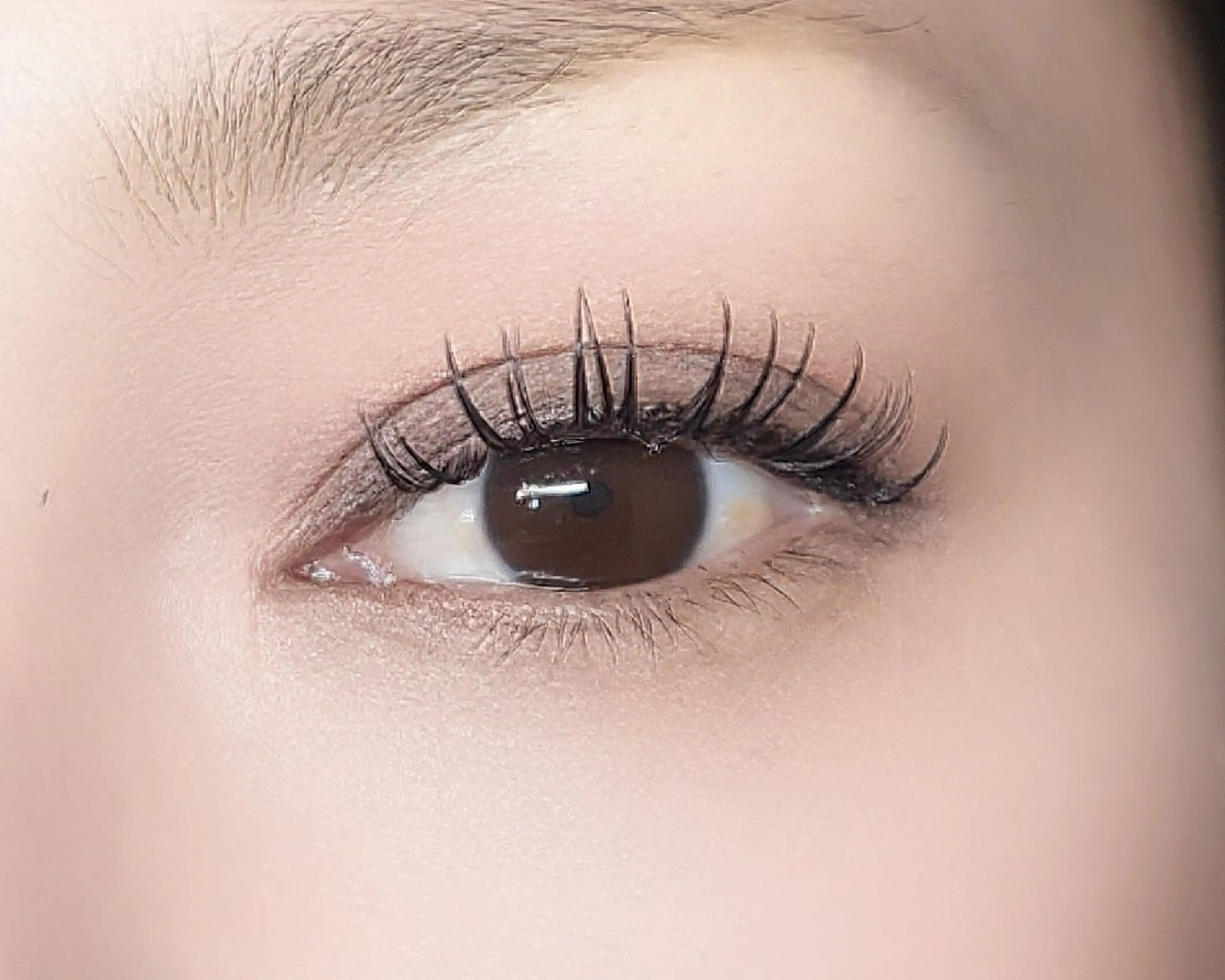 マツエク・マツパ Dカール フラットラッシュ ナチュラル マツエク アイラッシュ コペル【Copel】所属・個室サロンcopel 　kishimotoのマツエク・マツパデザイン