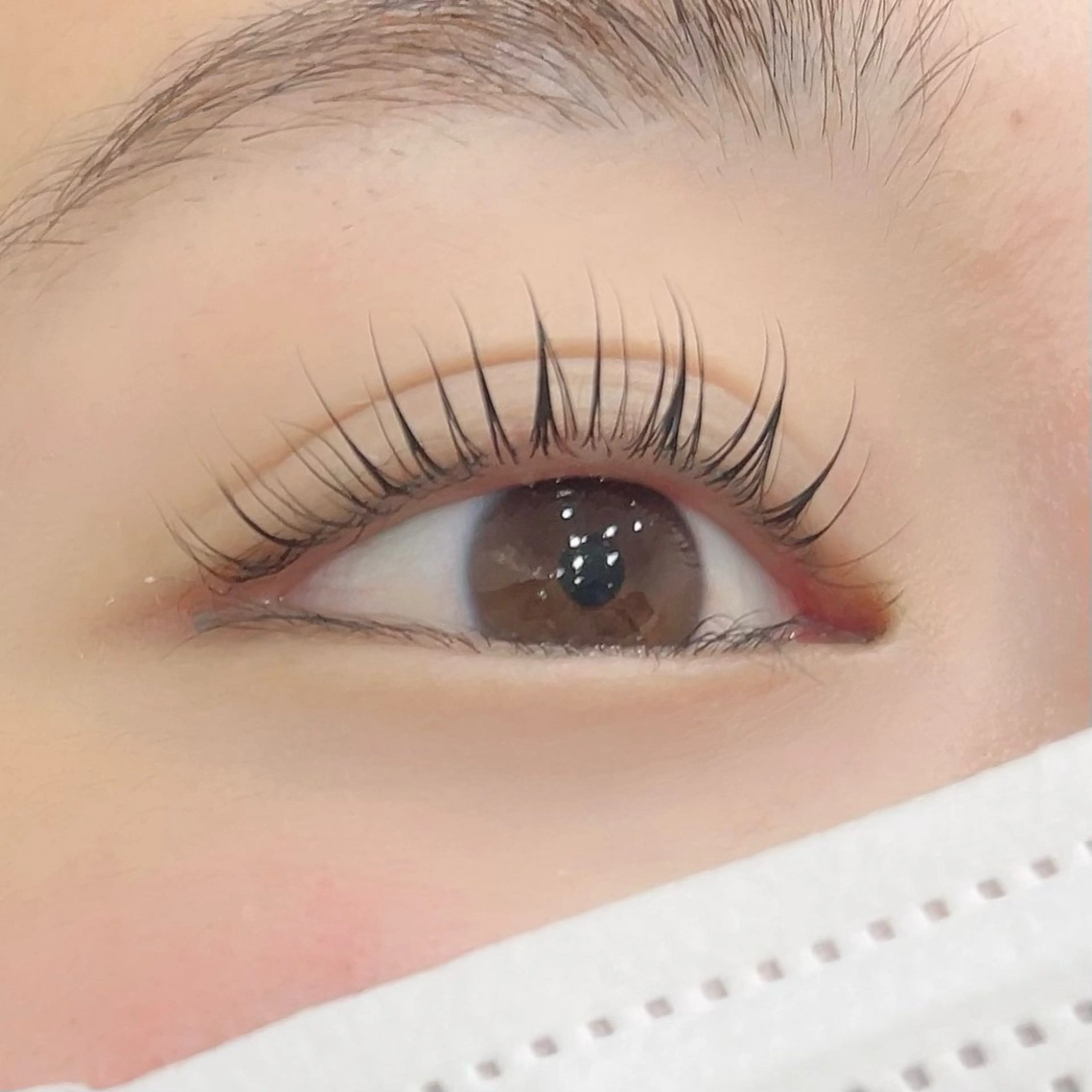 《まつ毛パーマ》カールデザインラッシュリフト(上まつ毛)の写真