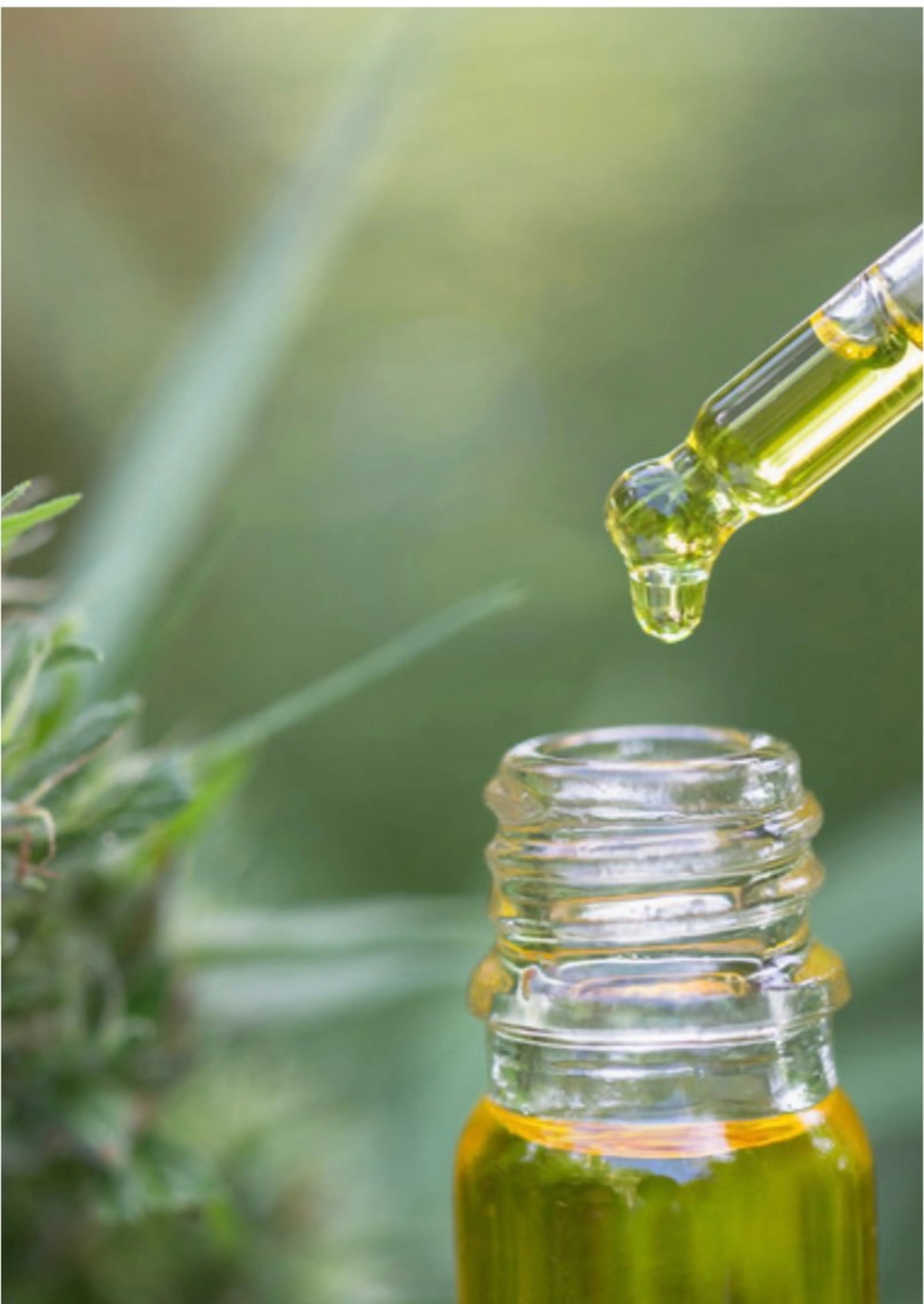 🌿【女性限定】CBDボディトリートメント60分通常9,450円 → ミニモ新規限定 6,200円✨の写真