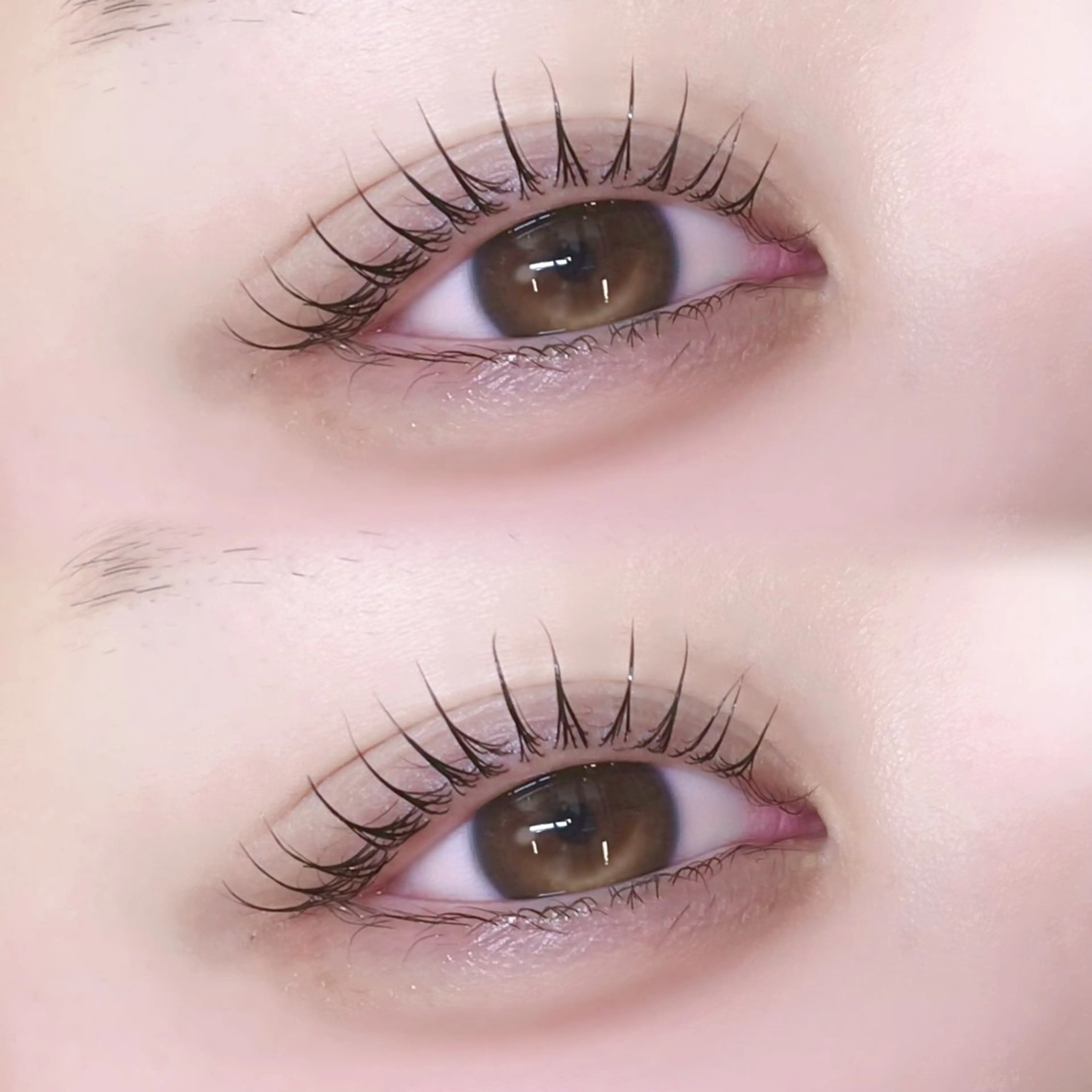 マツエク・マツパ マツパ muni所属・ひがしの ももかのマツエク・マツパデザイン