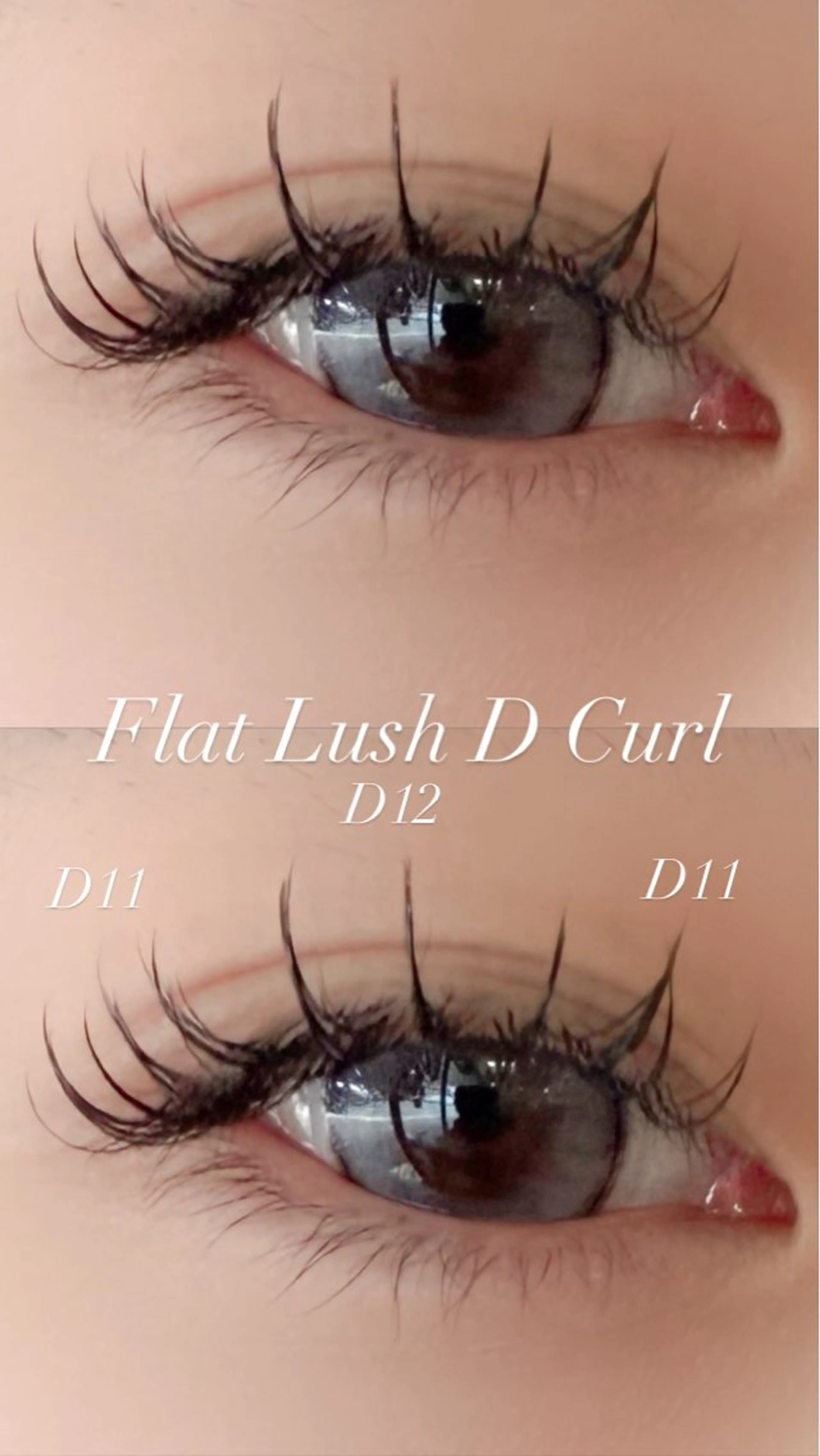 マツエク・マツパ マツエク Tripod しおんのマツエク・マツパデザイン