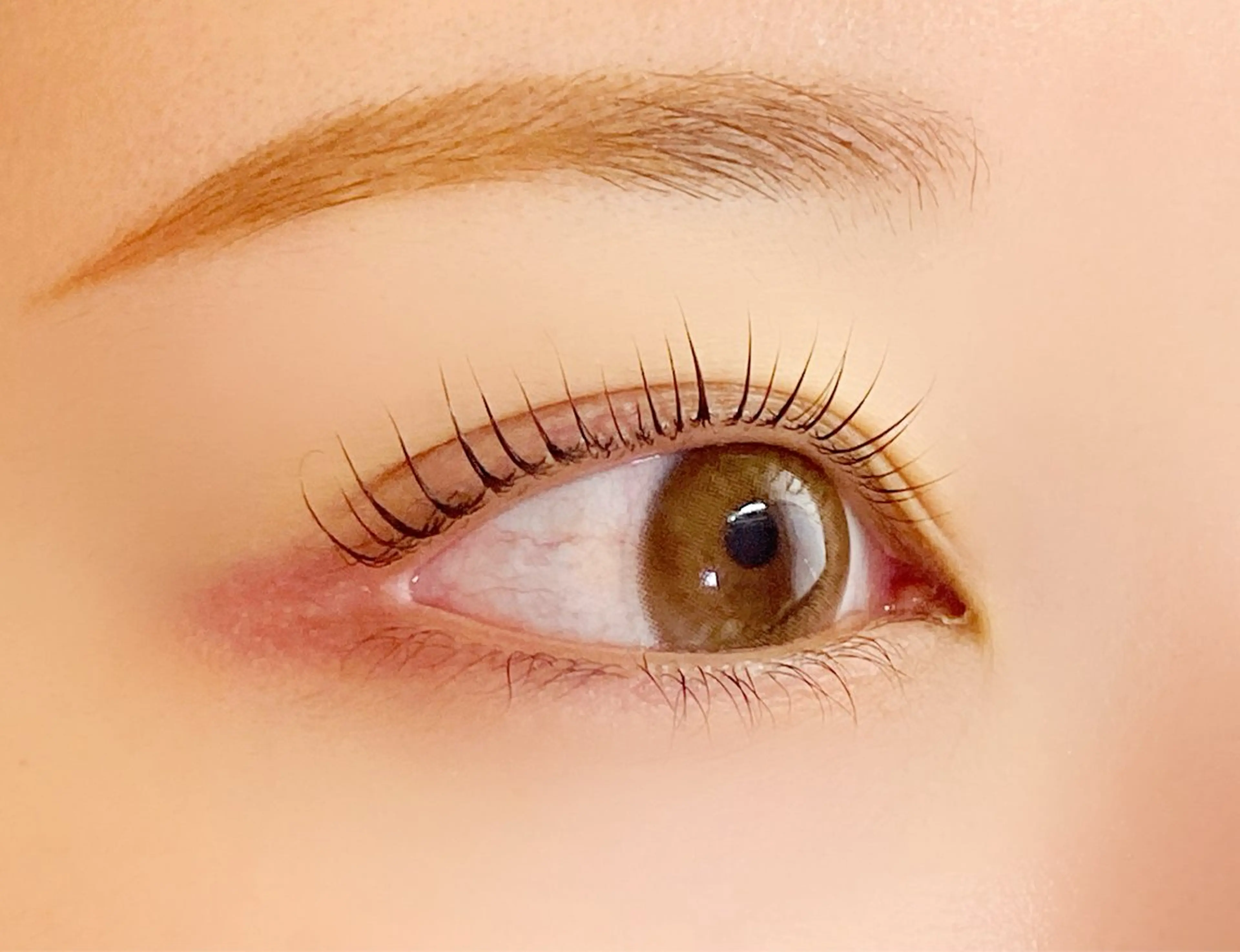 【限定】【大人気】眉ワックス(型取りなし)➕高持続ラッシュリフト❣️の写真