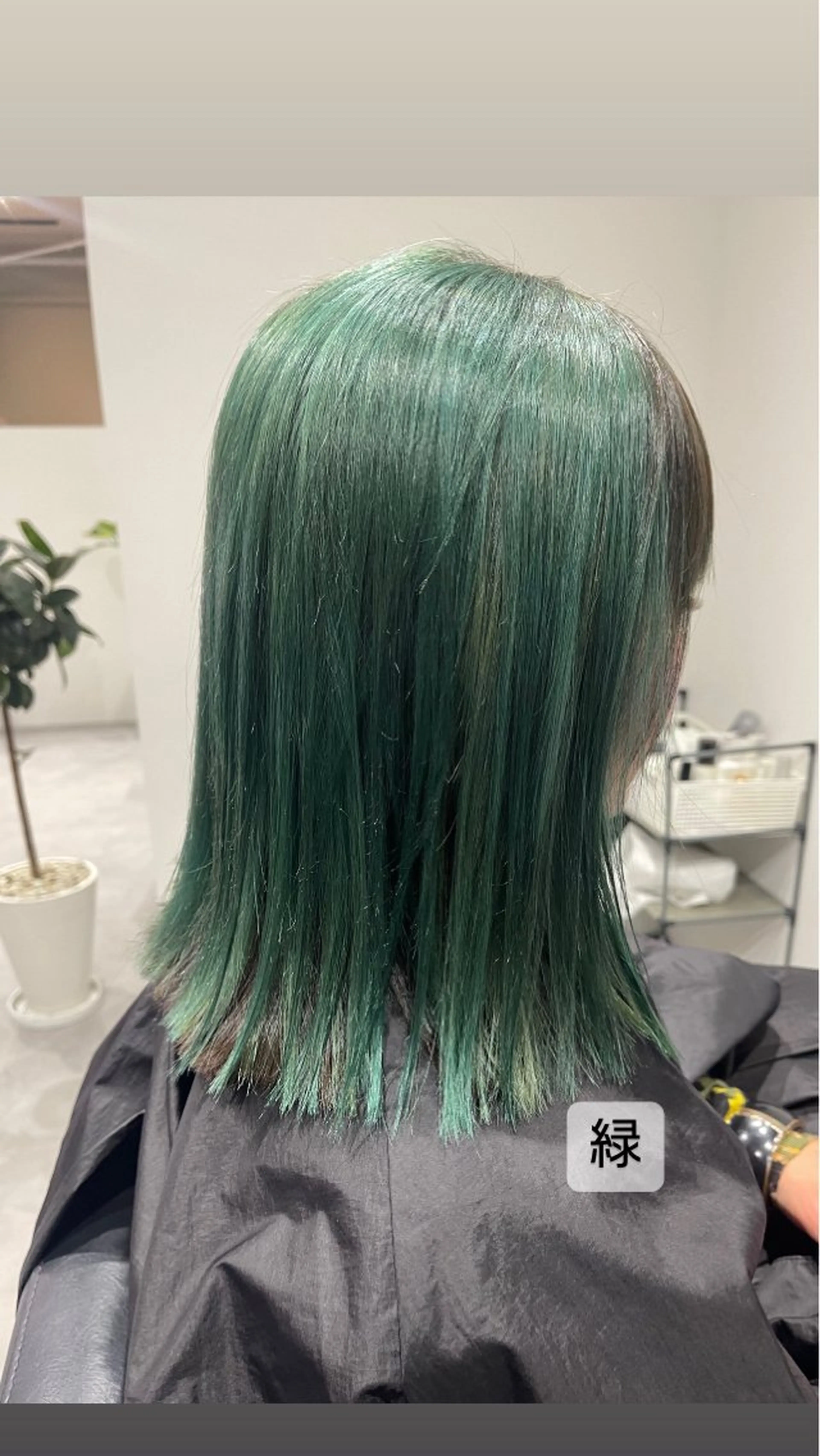 セミロング カラー ブリーチ 似合わせ／代表 髪質改善/山田将大のヘアスタイル