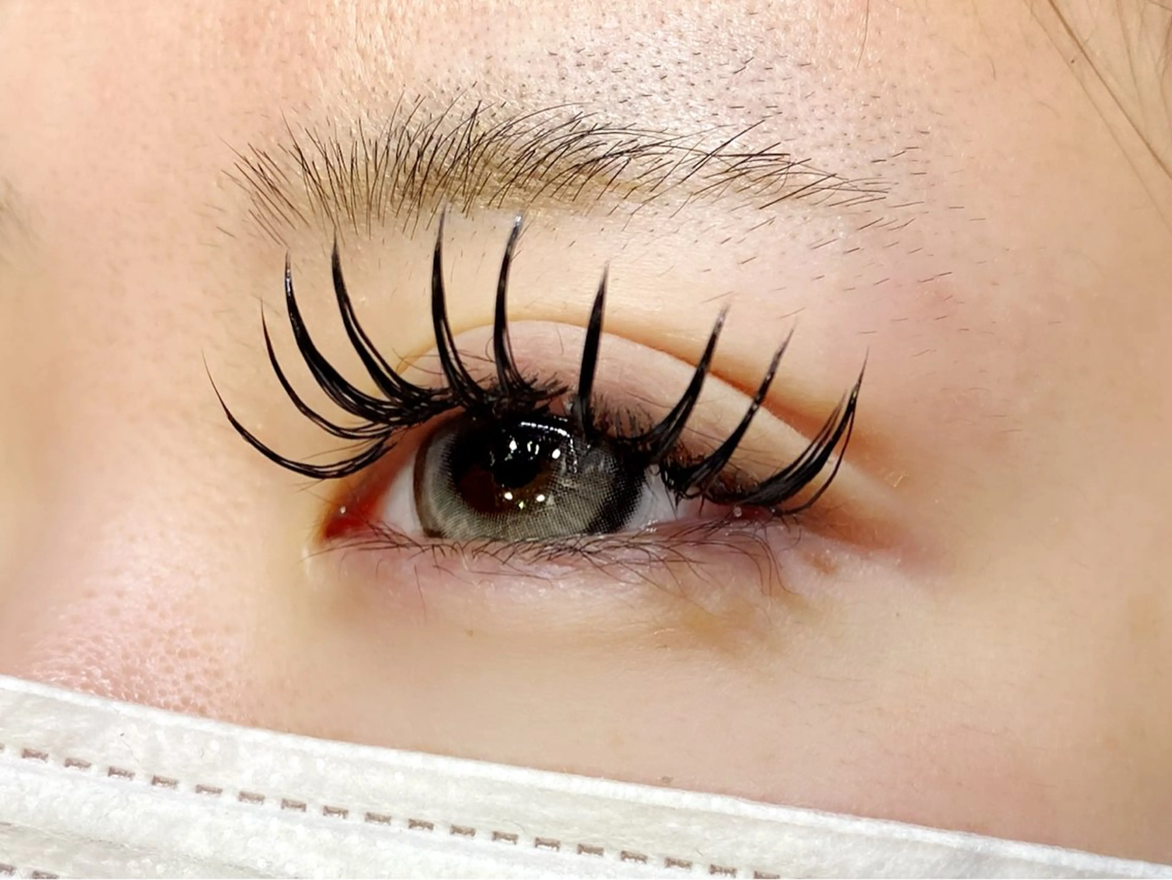 ダブルフラット（バインドロック）つけ放題の写真