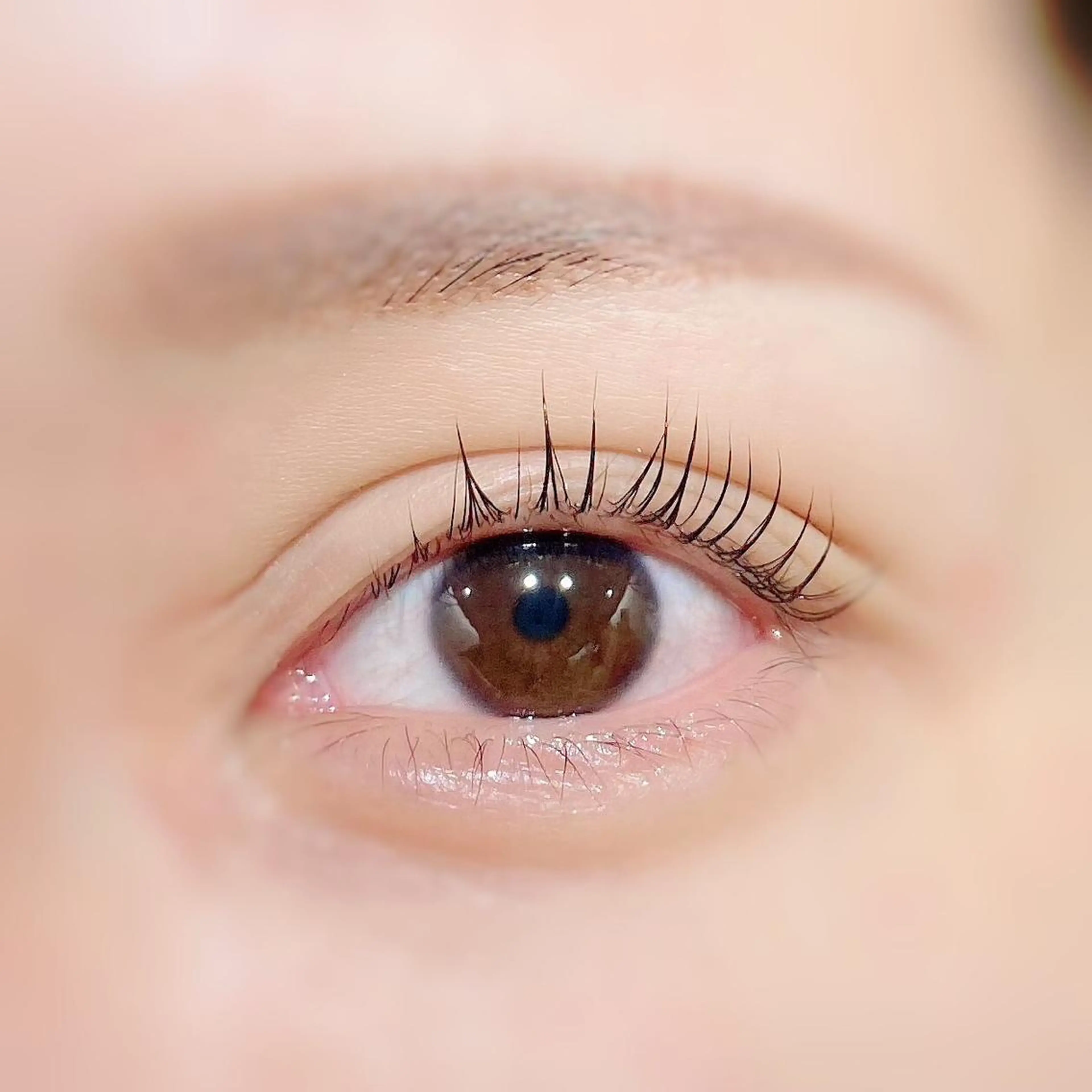 マツエク・マツパ 店長💎 ハラダのマツエク・マツパデザイン