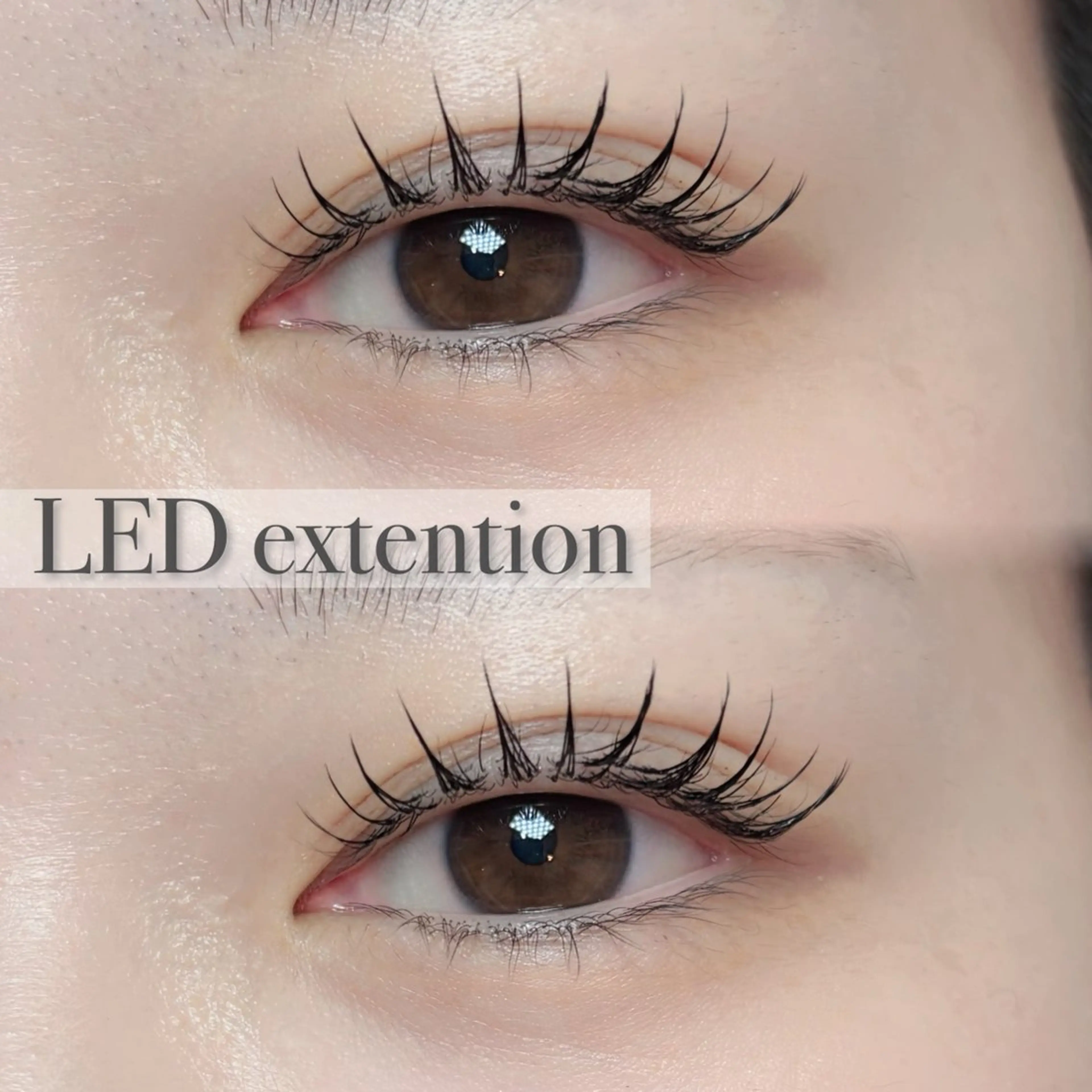 マツエク・マツパ Frau フラウ💐のマツエク・マツパデザイン